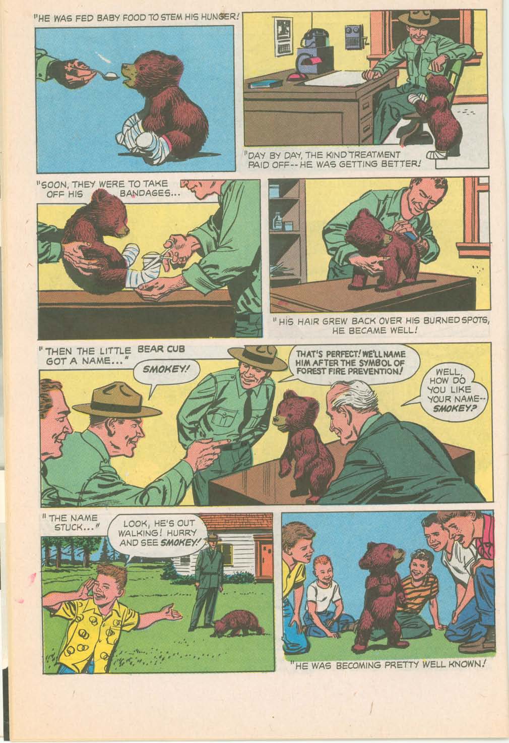 Read online The True Story of Smokey  Bear comic -  Issue # Full - 14