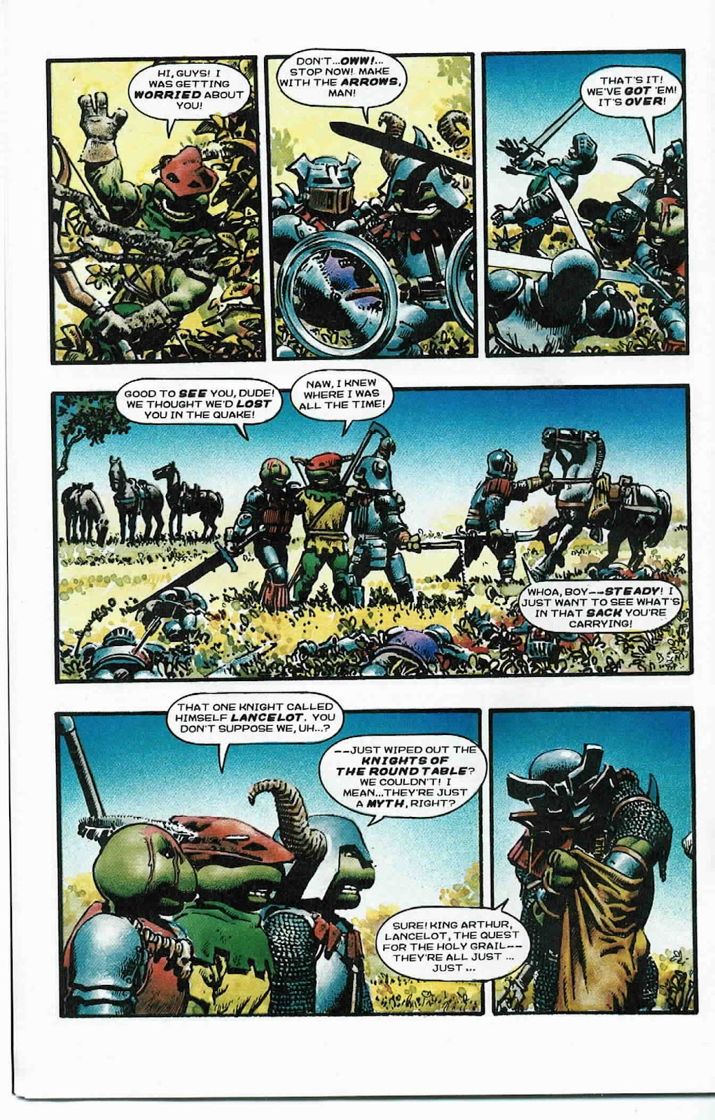 Teenage Mutant Ninja Turtles (1984) Issue #33 #33 - English 20