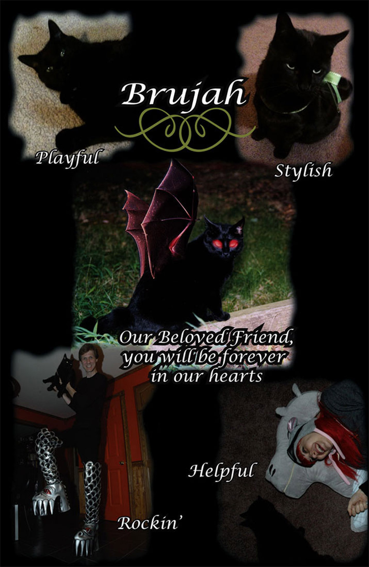 Read online Tarot: Witch of the Black Rose comic -  Issue #65 - 25