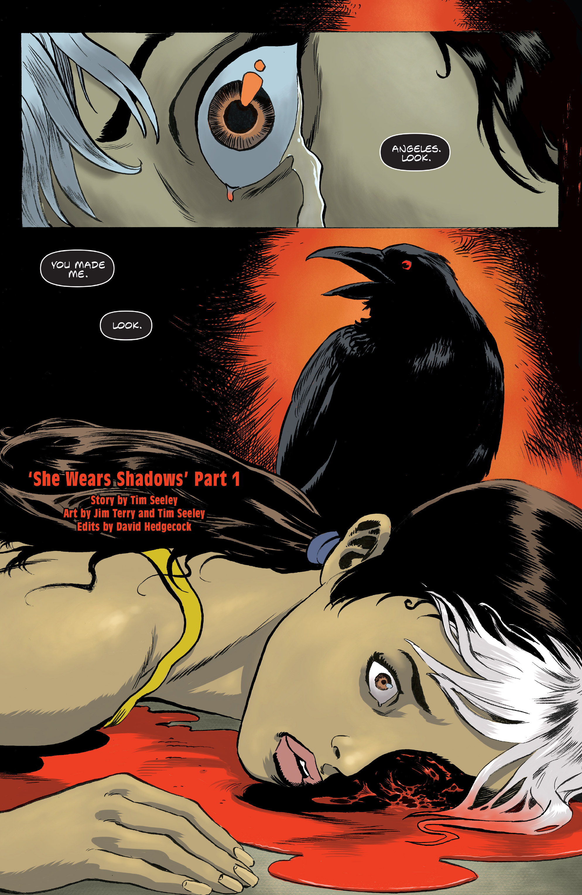 Read online Crow: Hack/Slash comic -  Issue #1 - 4