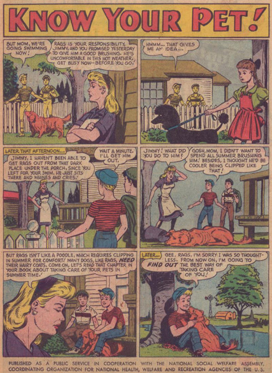 Read online The Adventures of Rex the Wonder Dog comic -  Issue #41 - 14