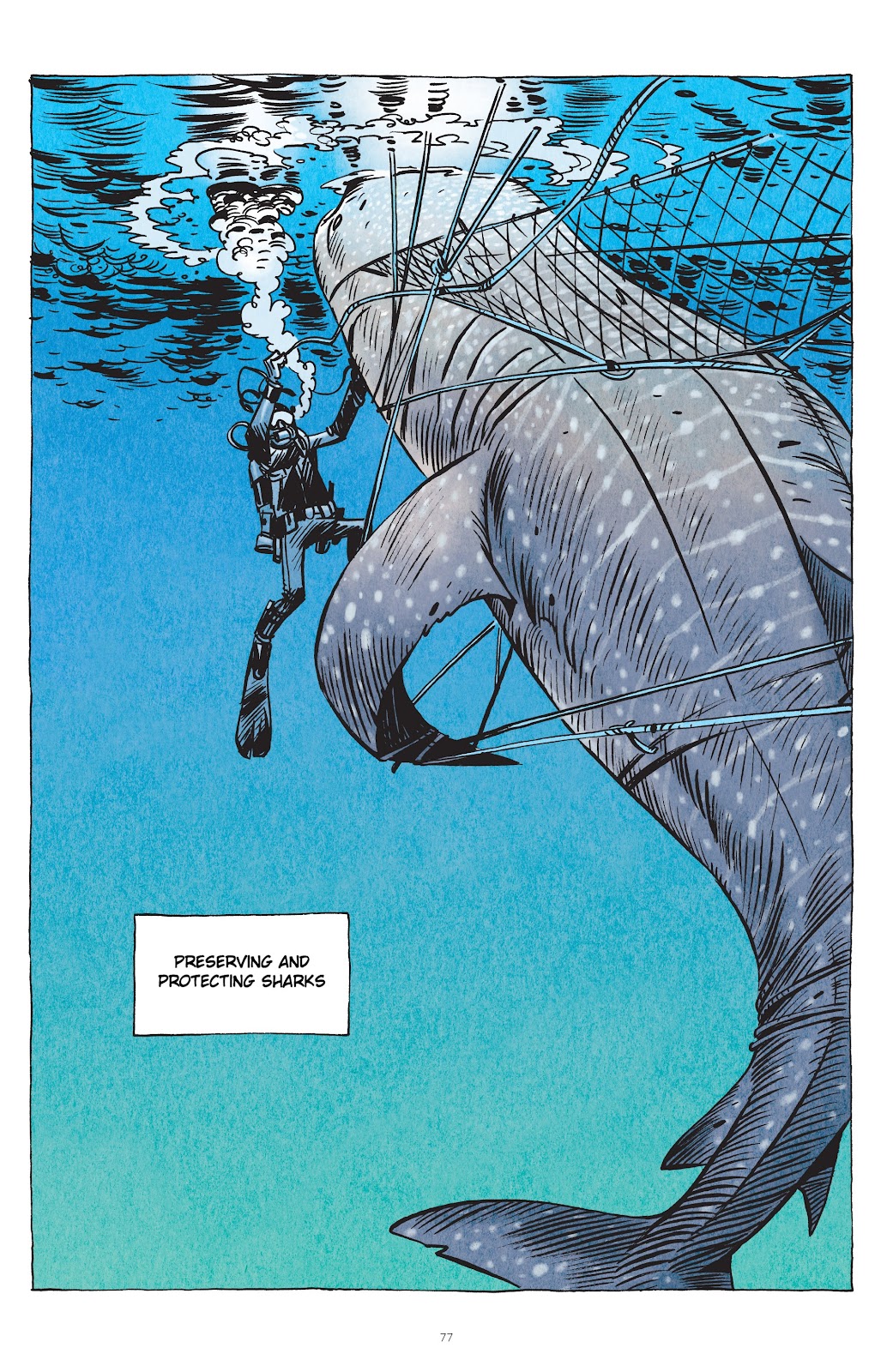 Little Book of Knowledge: Sharks issue TPB - Page 77