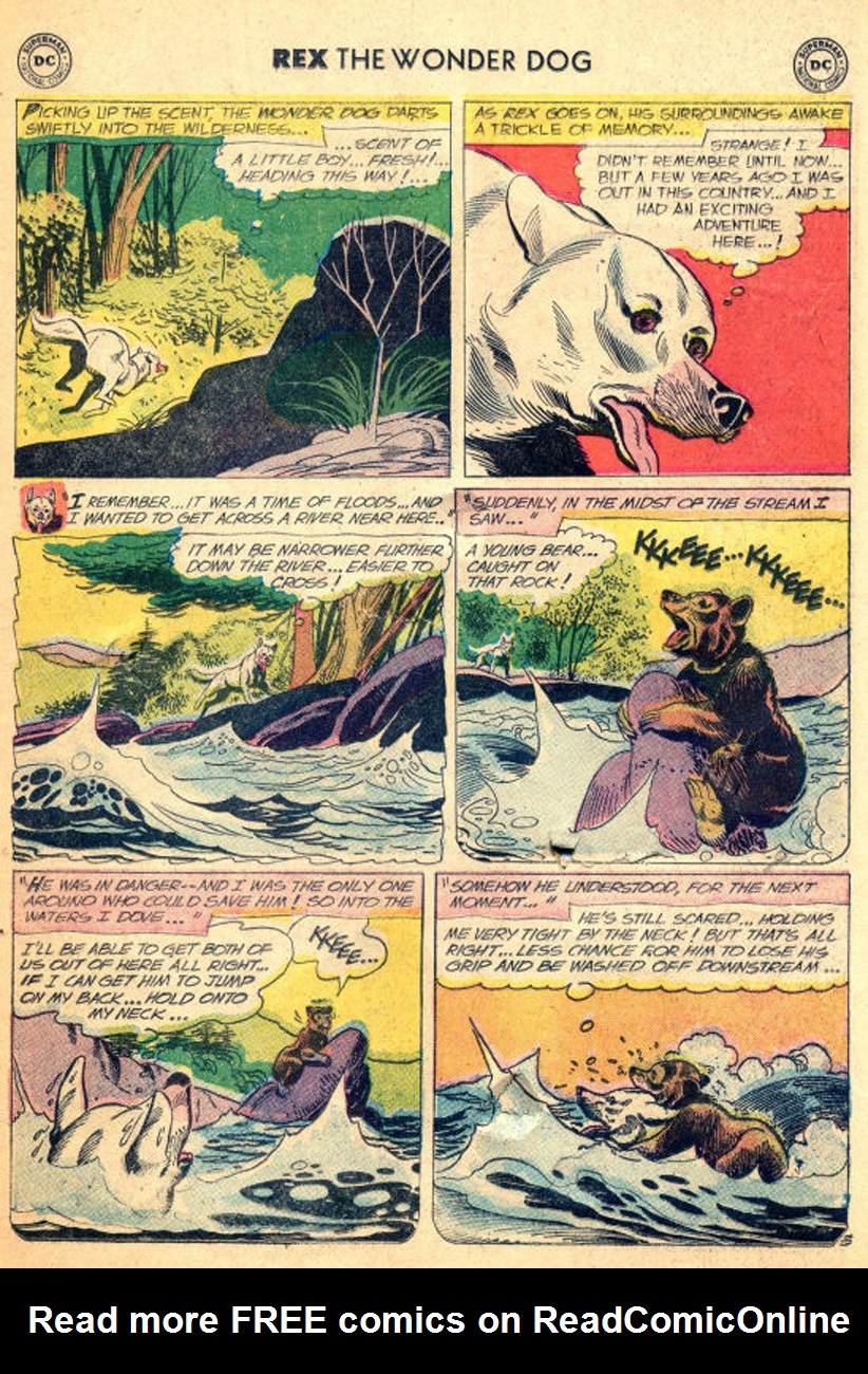 Read online The Adventures of Rex the Wonder Dog comic -  Issue #45 - 25