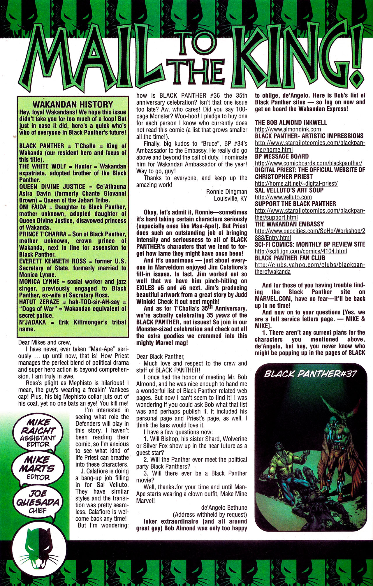 Read online Black Panther (1998) comic -  Issue #36 - 24