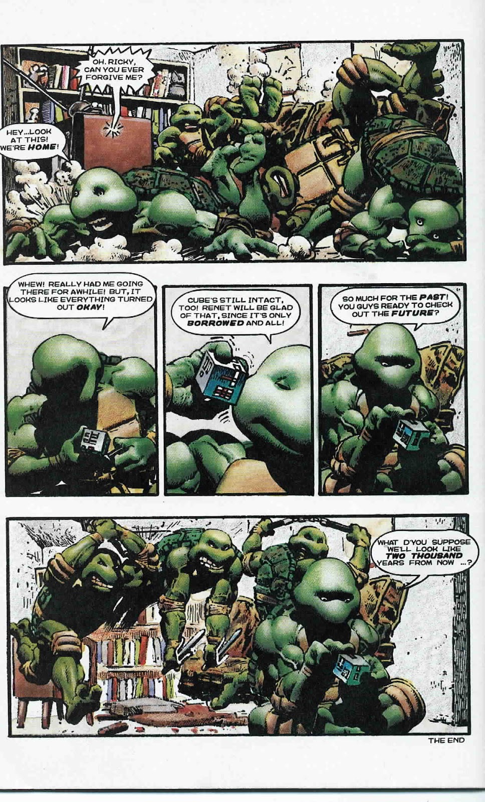 Teenage Mutant Ninja Turtles (1984) Issue #33 #33 - English 29