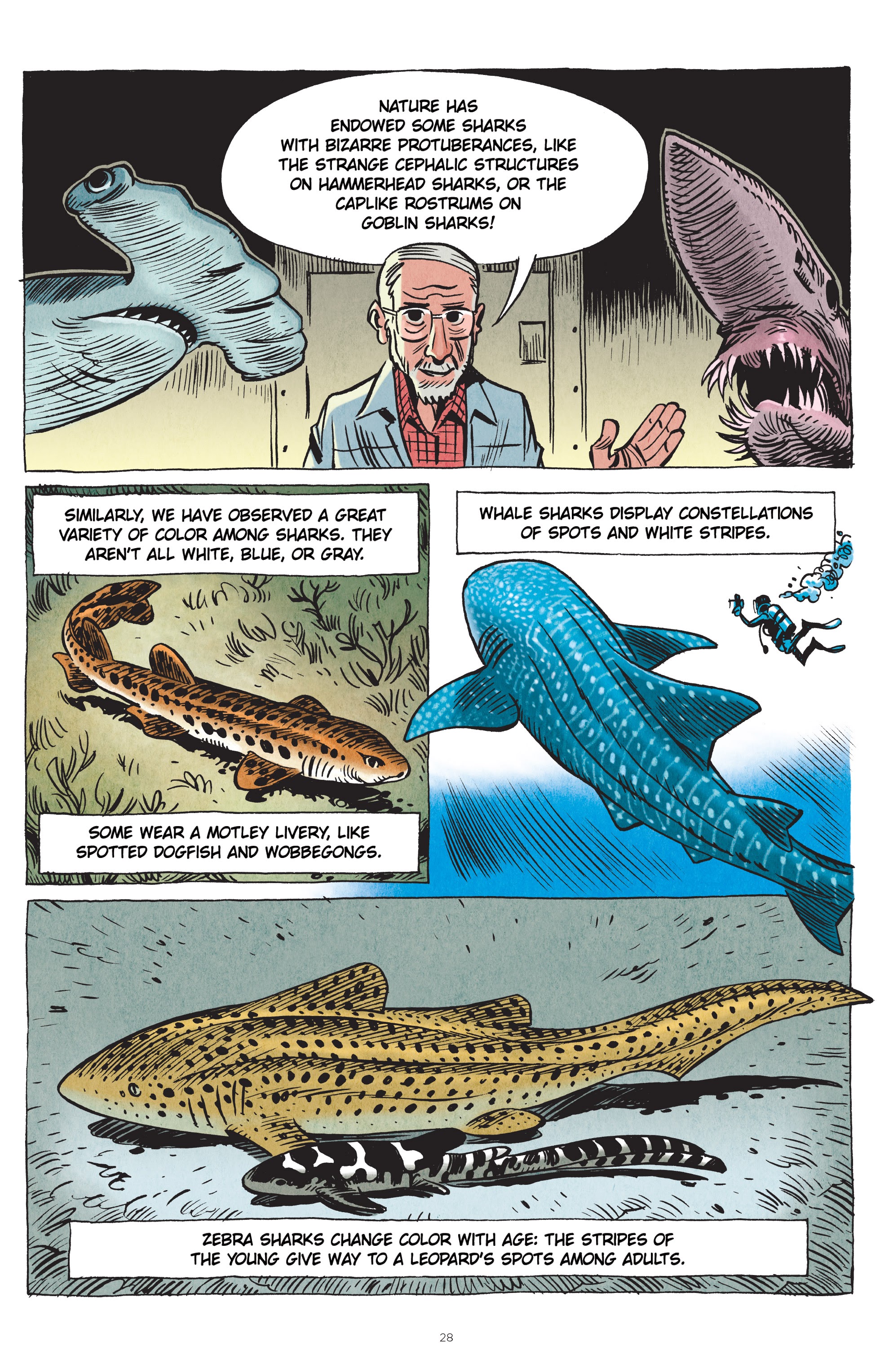 Read online Little Book of Knowledge: Sharks comic -  Issue # TPB - 28