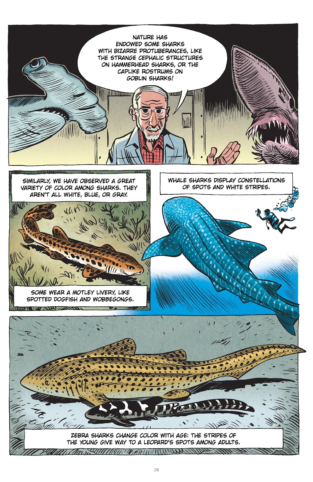 Little Book of Knowledge: Sharks issue TPB - Page 28
