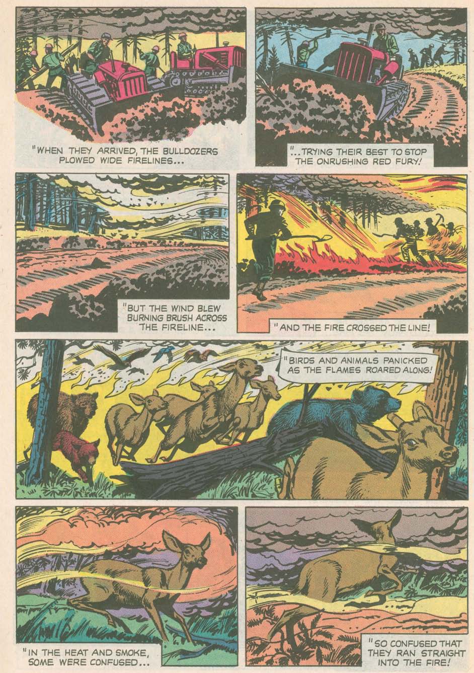 Read online The True Story of Smokey  Bear comic -  Issue # Full - 7
