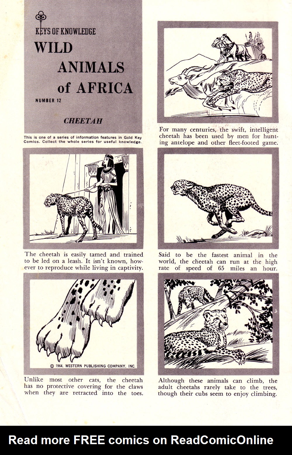 Read online Korak, Son of Tarzan (1964) comic -  Issue #6 - 2