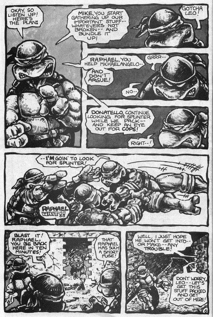 Read online Teenage Mutant Ninja Turtles (1984) comic -  Issue #3 - 9