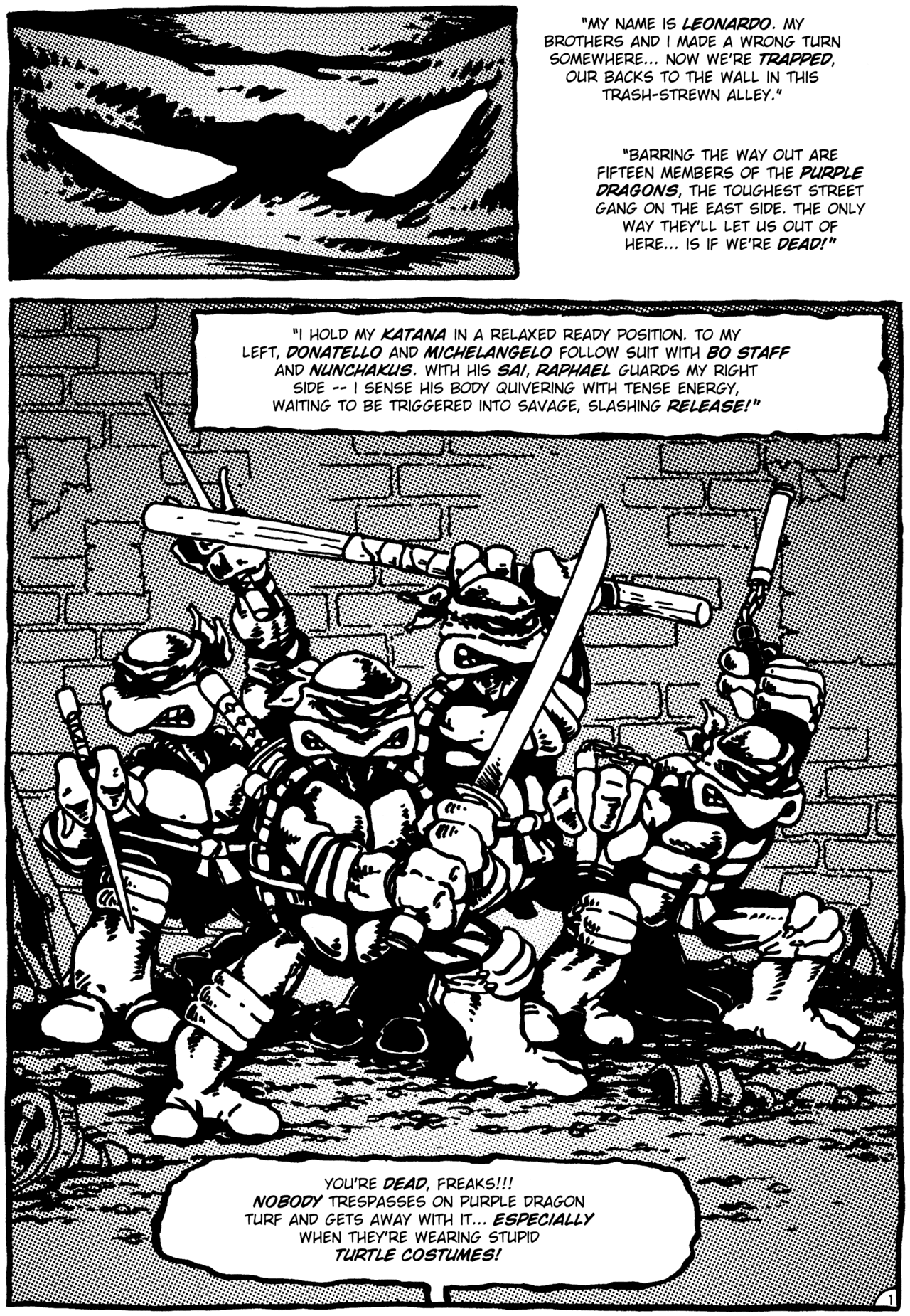 Teenage Mutant Ninja Turtles (1984) Issue #1 #1 - English 3