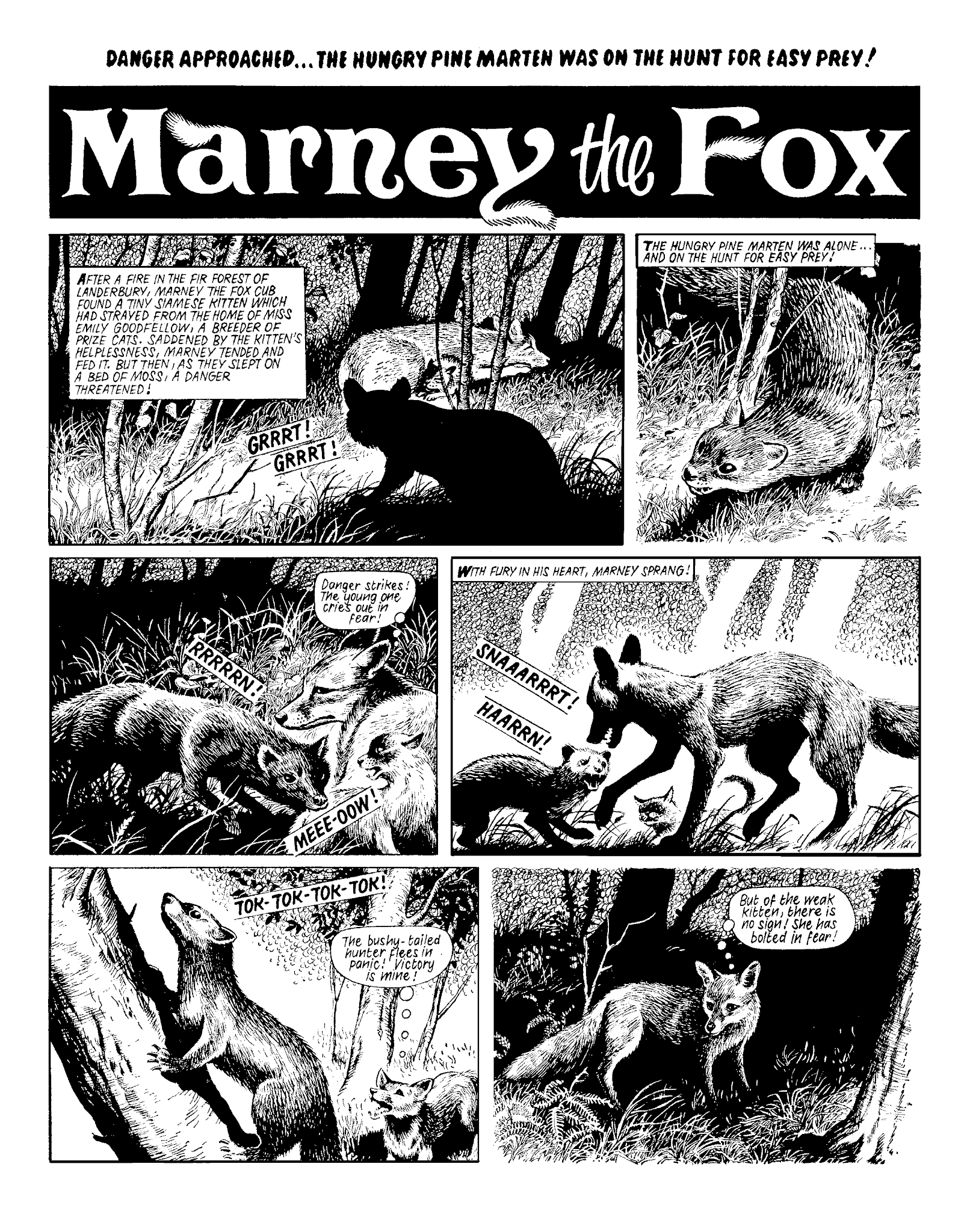 Read online Marney the Fox comic -  Issue # TPB (Part 2) - 14