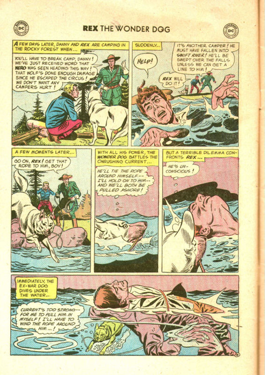 Read online The Adventures of Rex the Wonder Dog comic -  Issue #31 - 6