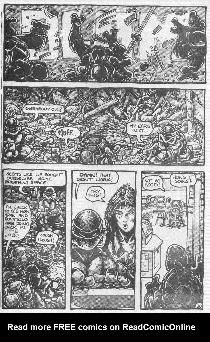 Teenage Mutant Ninja Turtles (1984) Issue #2 #2 - English 32