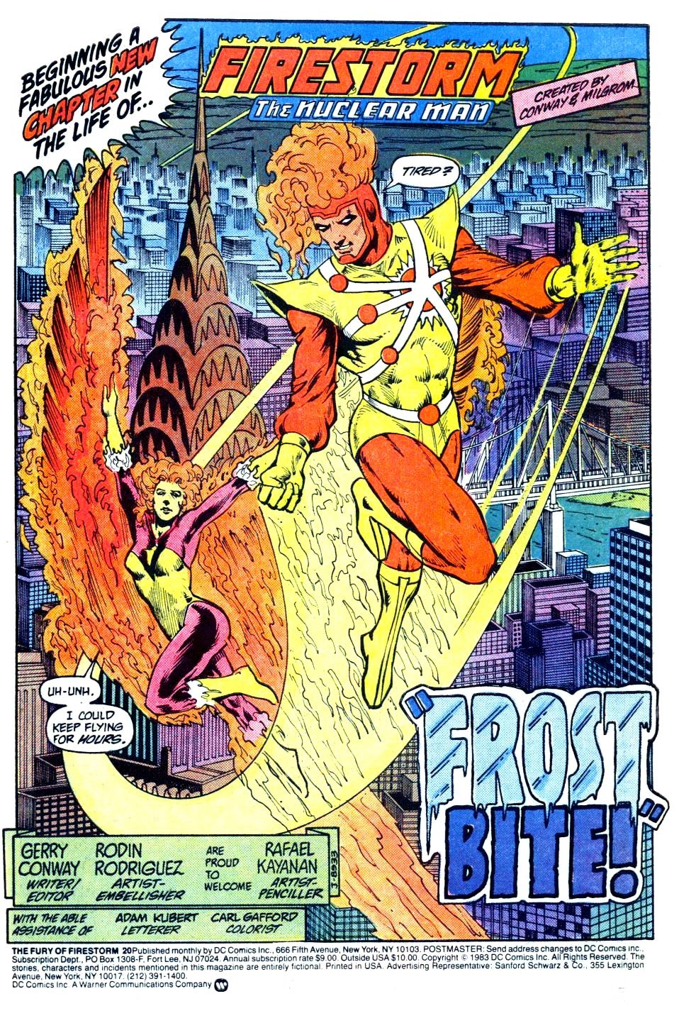 The Fury of Firestorm Issue #20 #24 - English 2