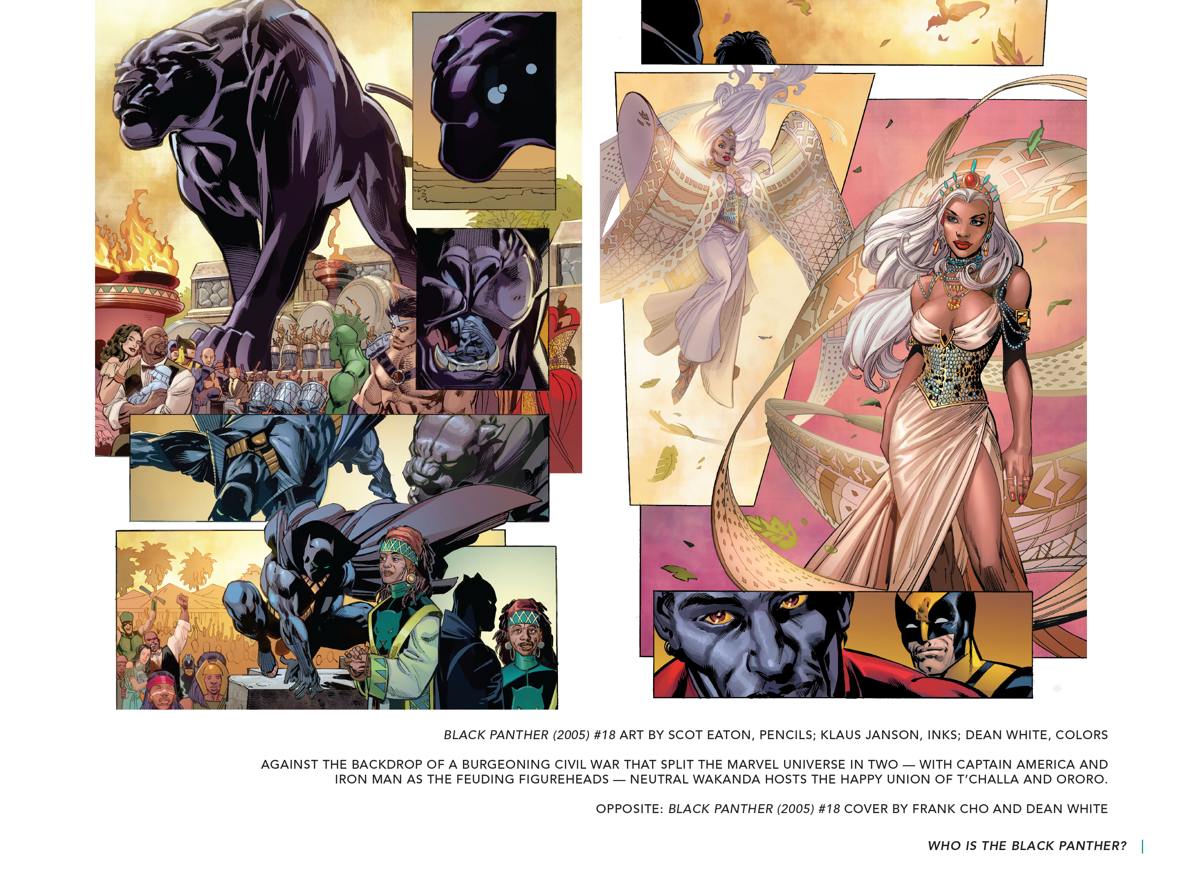 Read online Black Panther: Visions of Wakanda comic -  Issue # TPB (Part 3) - 7