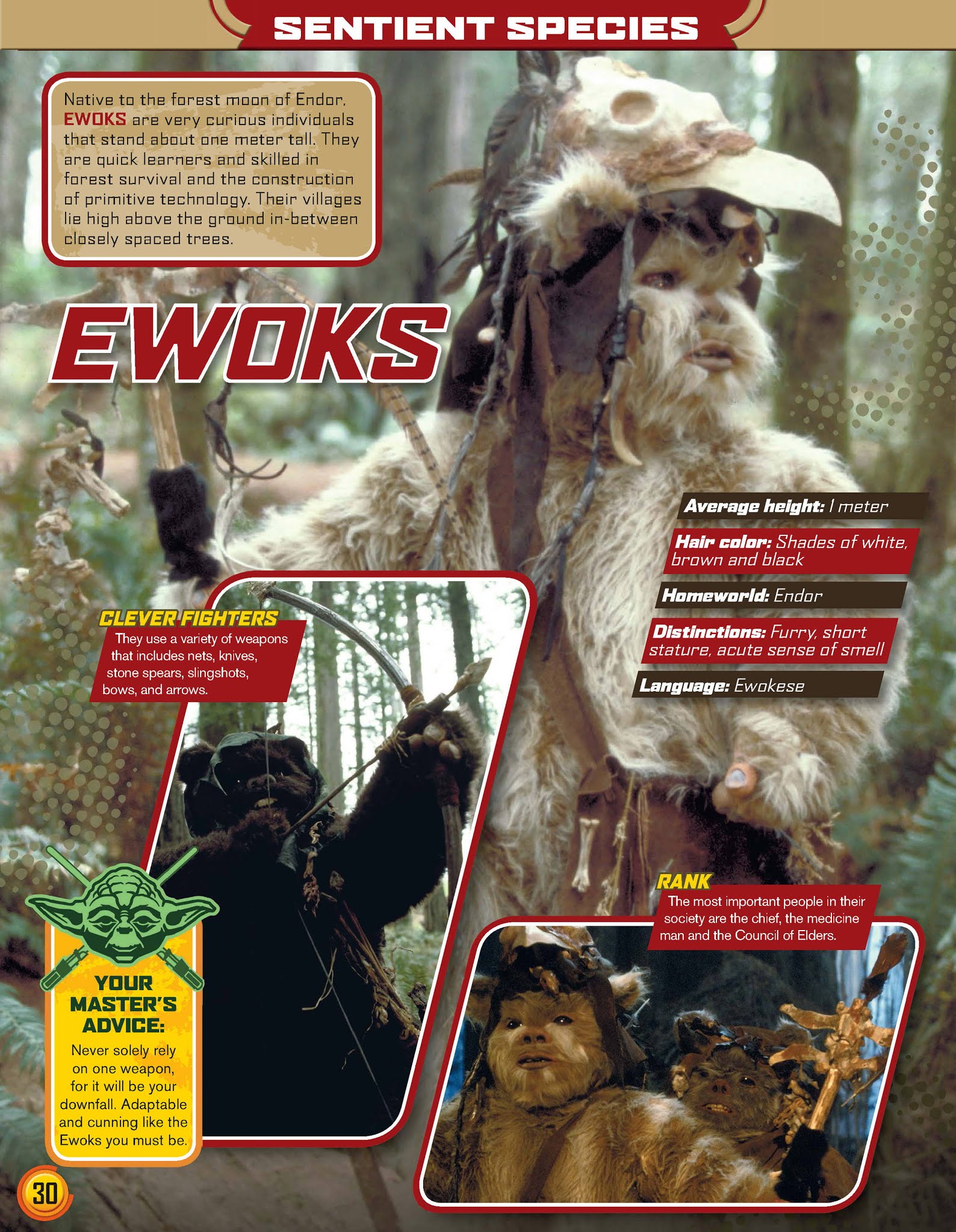 Read online Star Wars Jedi Master Magazine comic -  Issue #6 - 30