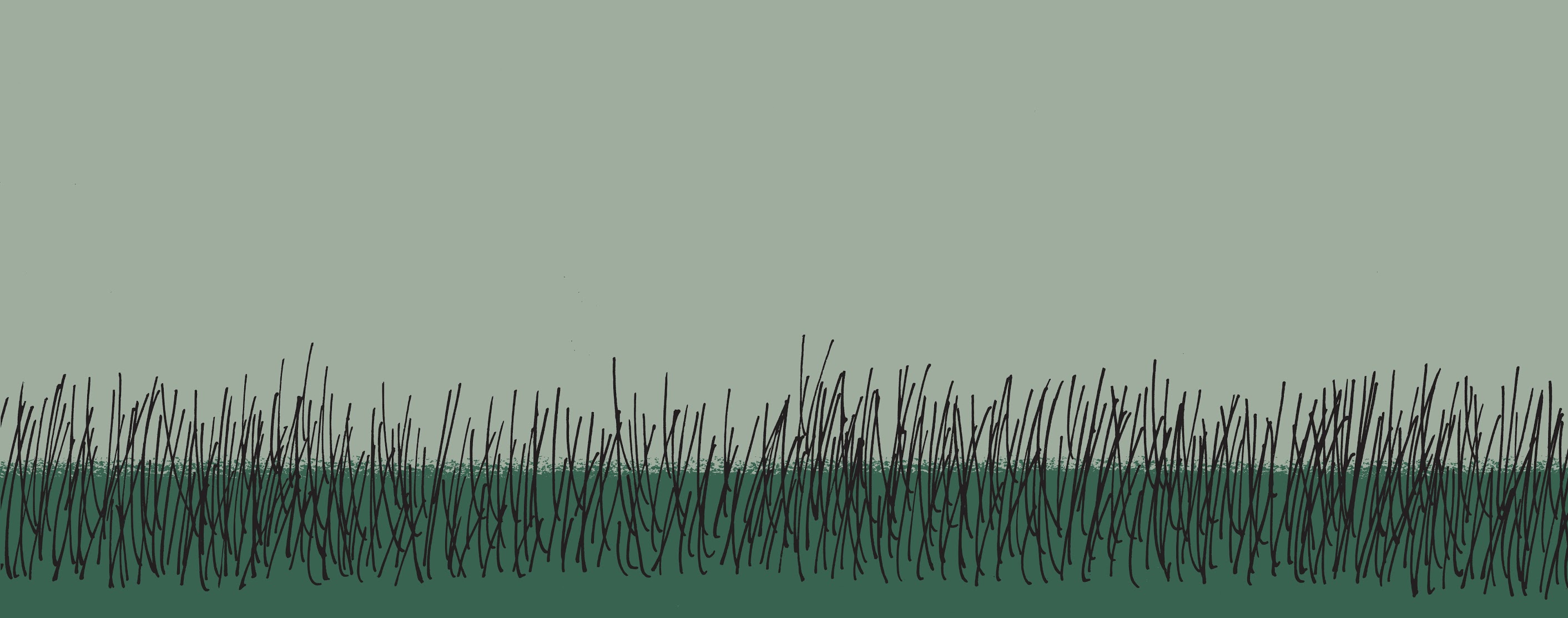 Read online The Complete Peanuts comic -  Issue # TPB 8 - 335