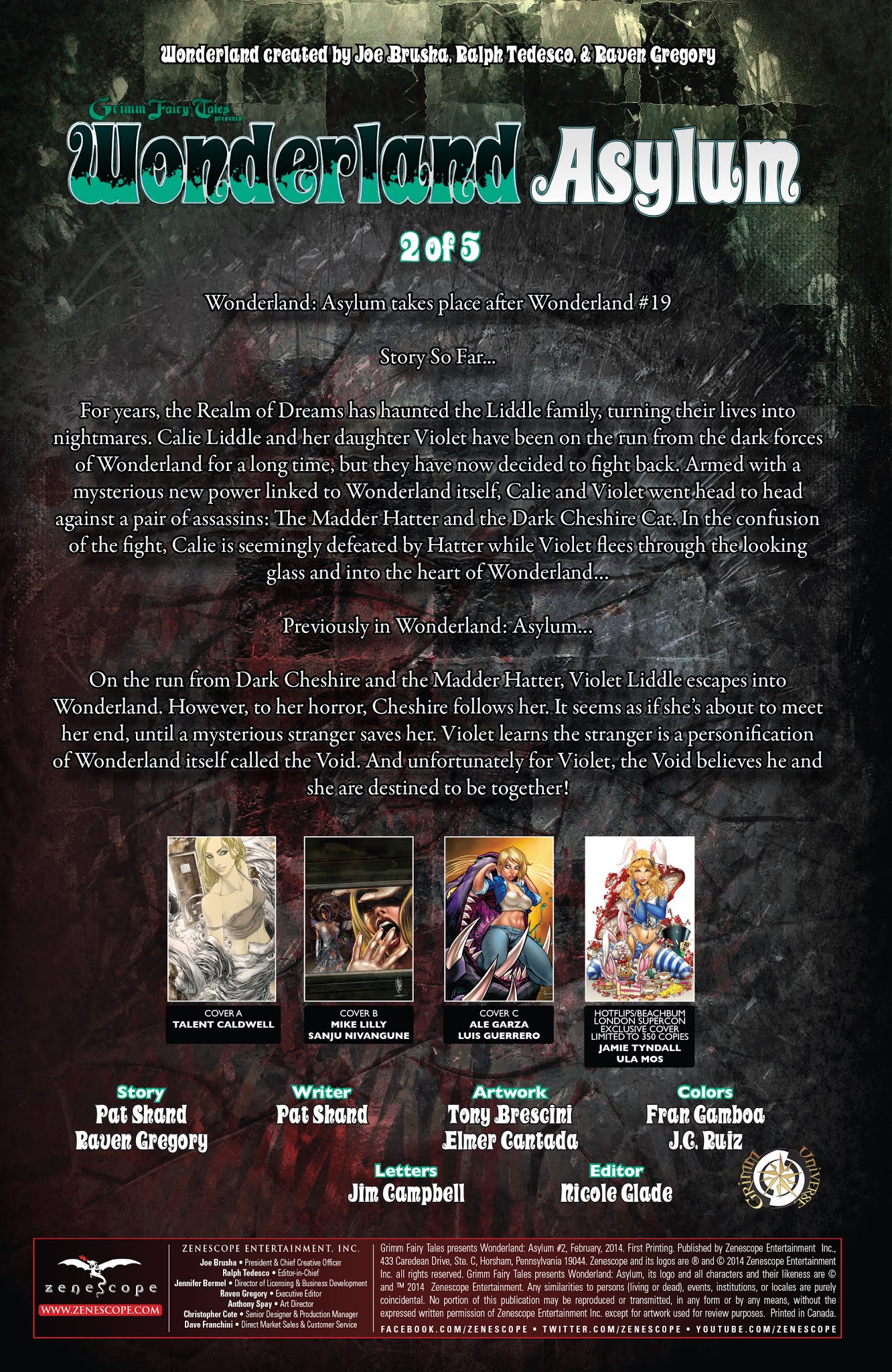 Read online Grimm Fairy Tales presents Wonderland: Asylum comic -  Issue #2 - 2