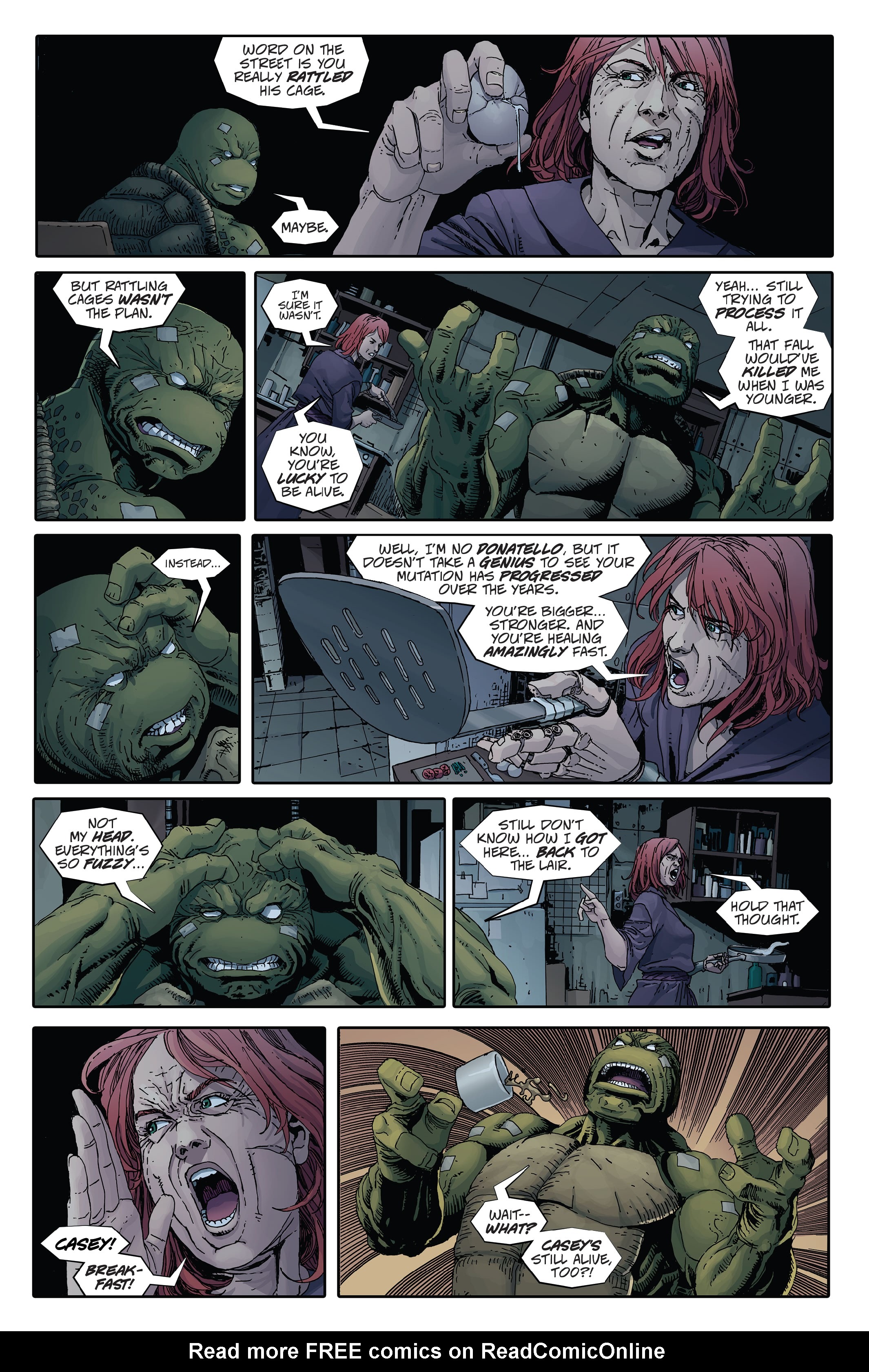 Read online Teenage Mutant Ninja Turtles: The Last Ronin comic -  Issue #2 - 27