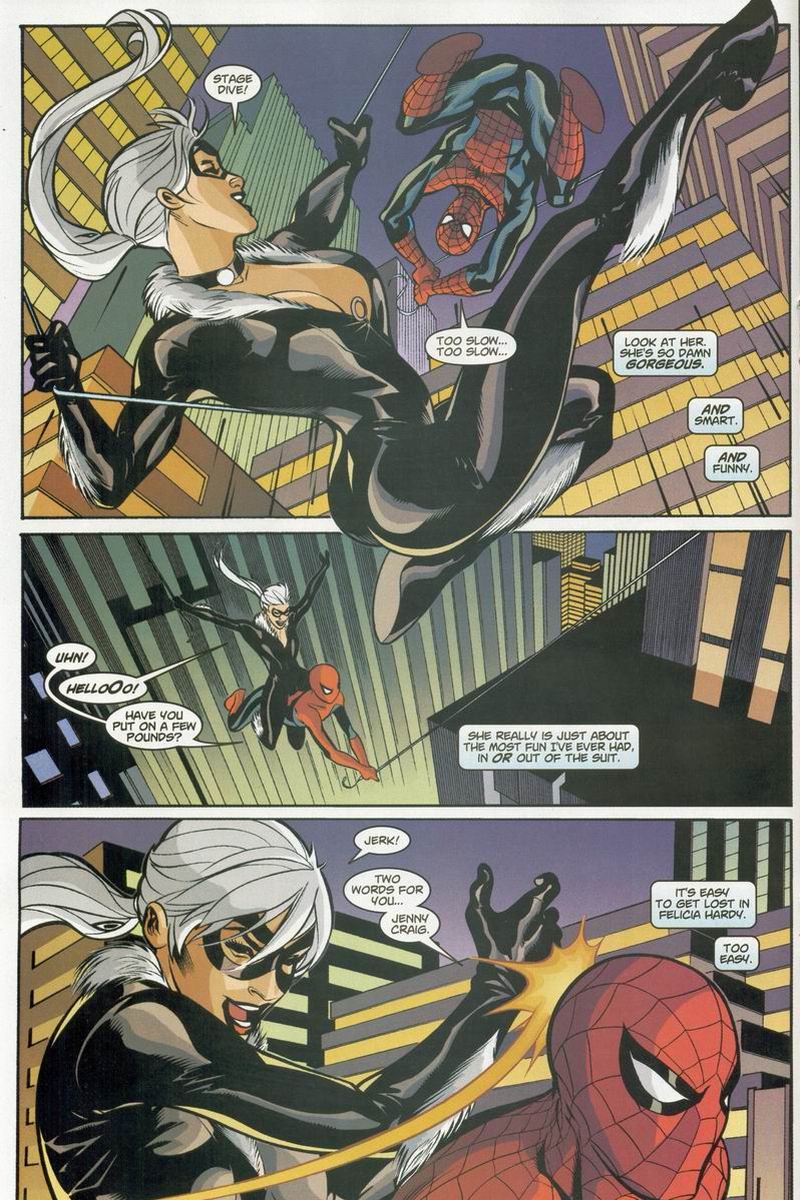 Read online Spider-Man/Black Cat: The Evil That Men Do comic -  Issue #2 - 12