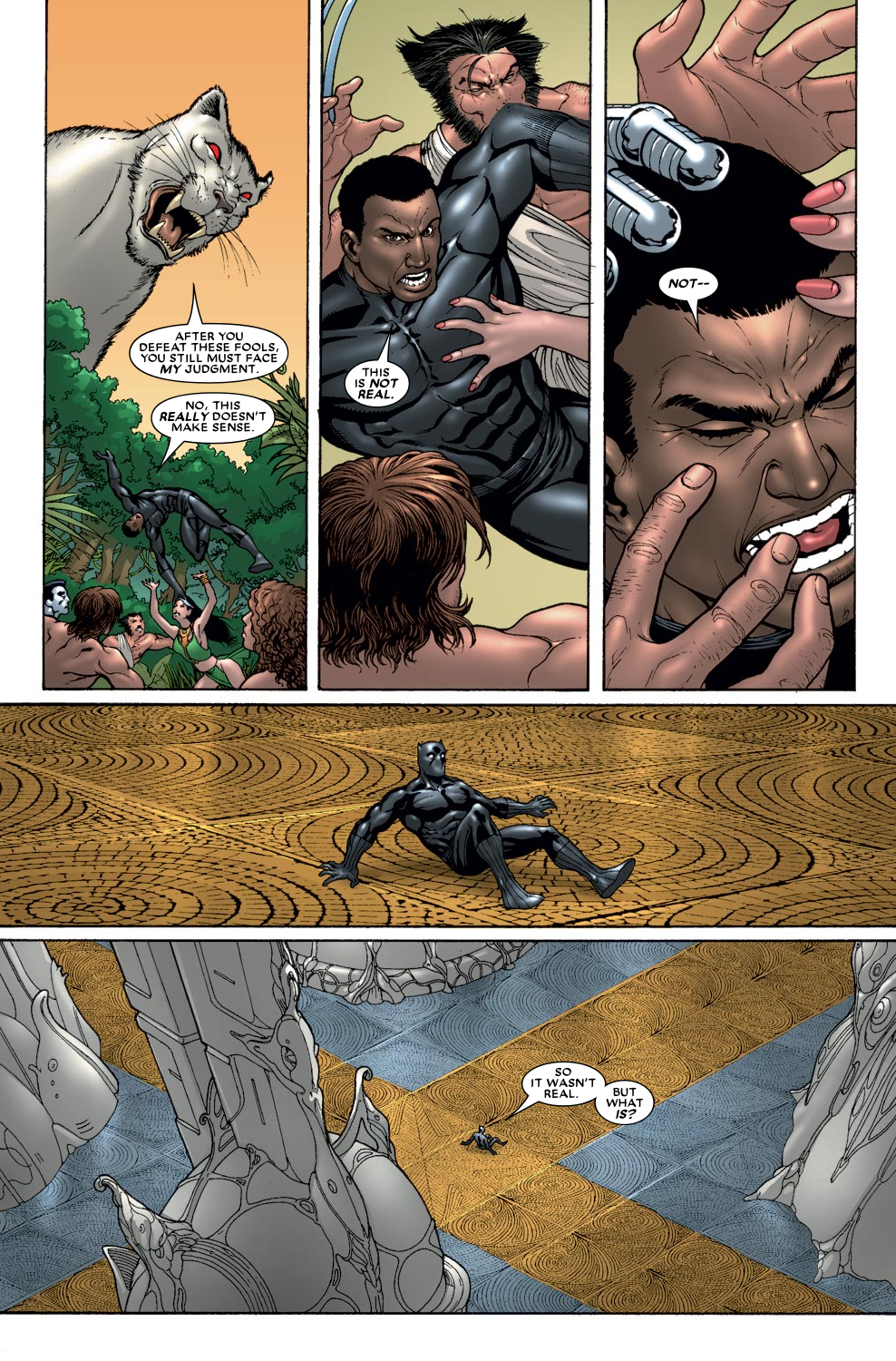 Read online Black Panther (2005) comic -  Issue #31 - 13