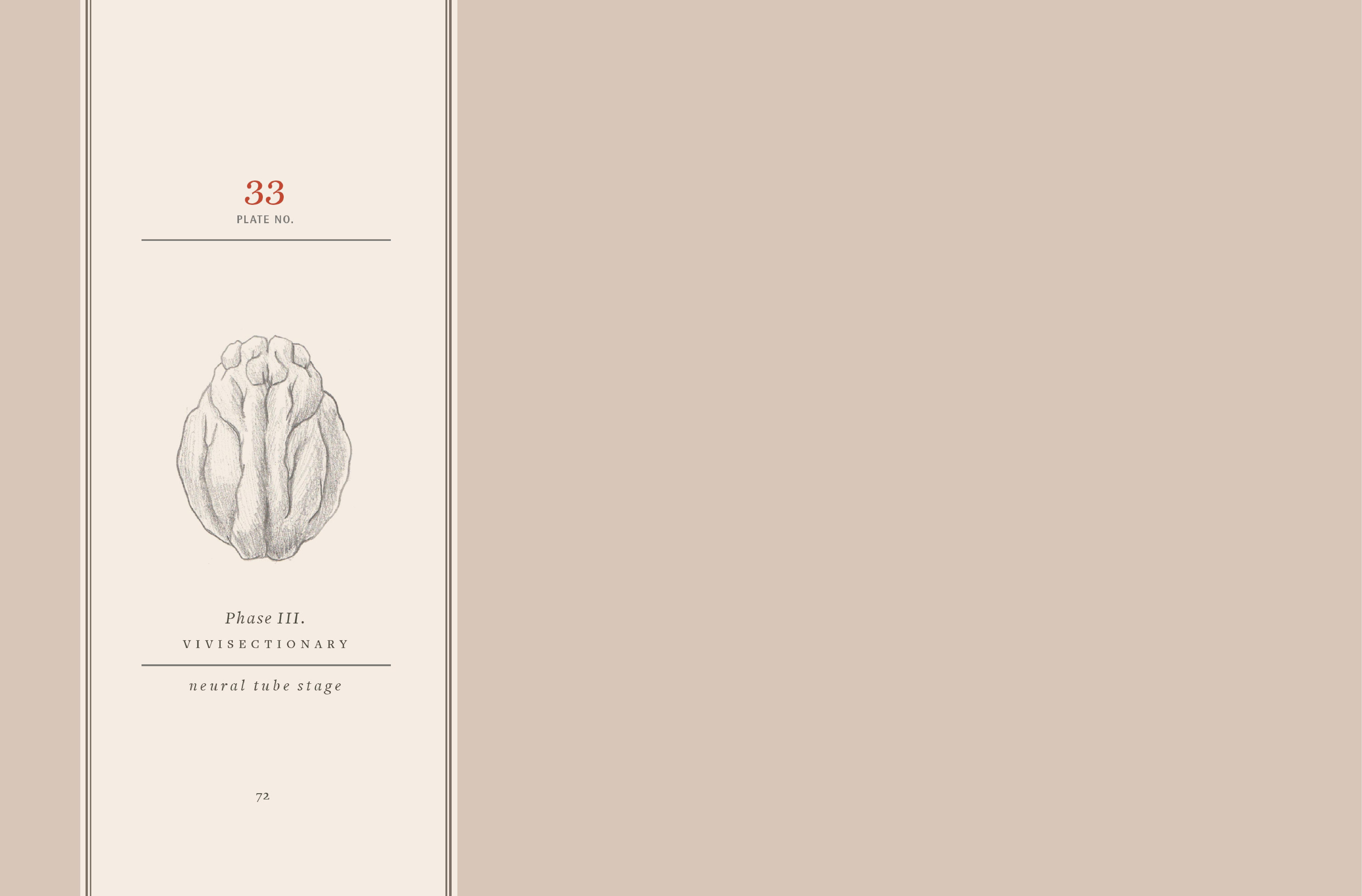 Read online Vivisectionary comic -  Issue # TPB - 73