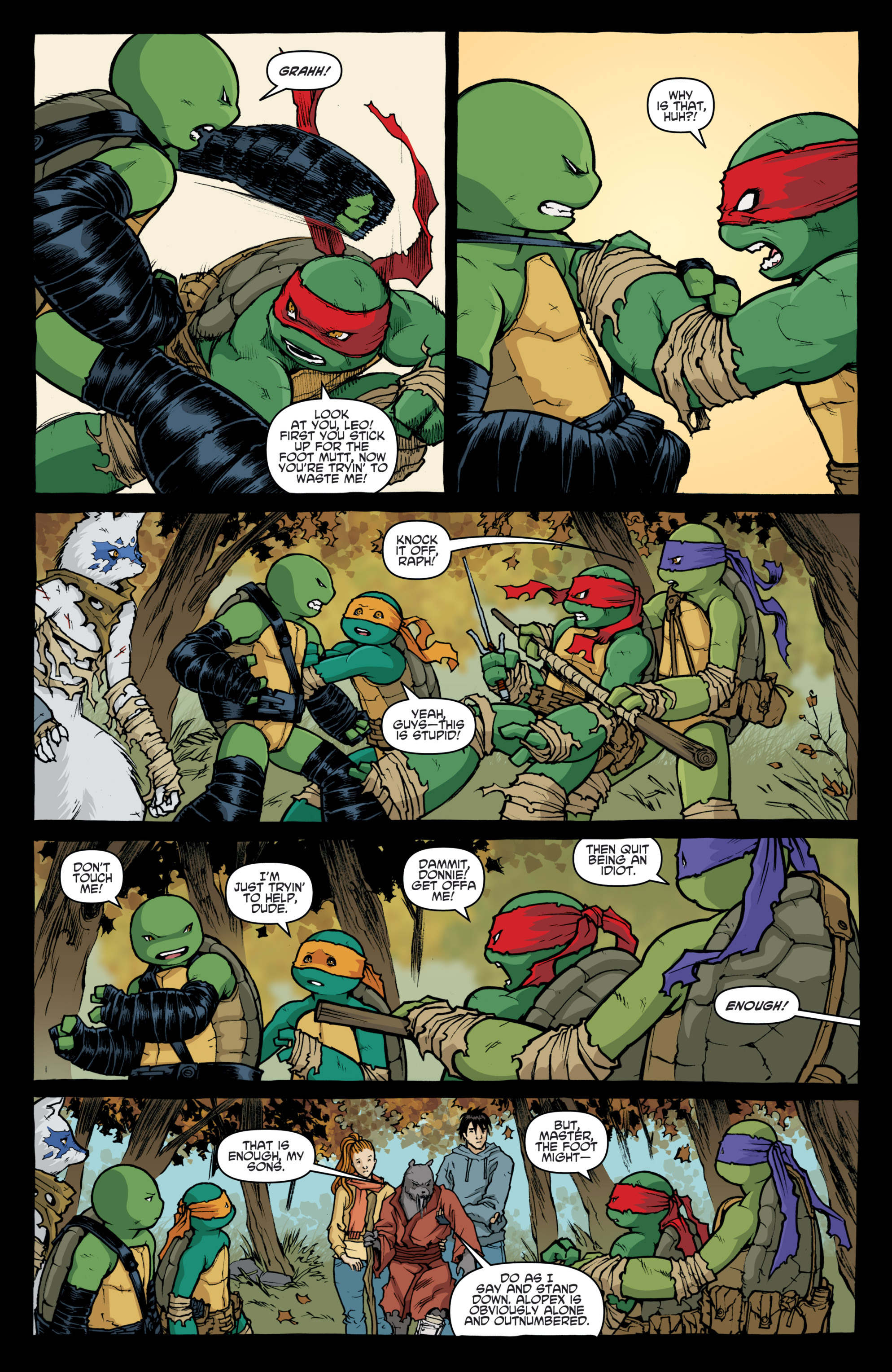 Read online Teenage Mutant Ninja Turtles: The IDW Collection comic -  Issue # TPB 4 (Part 1) - 17