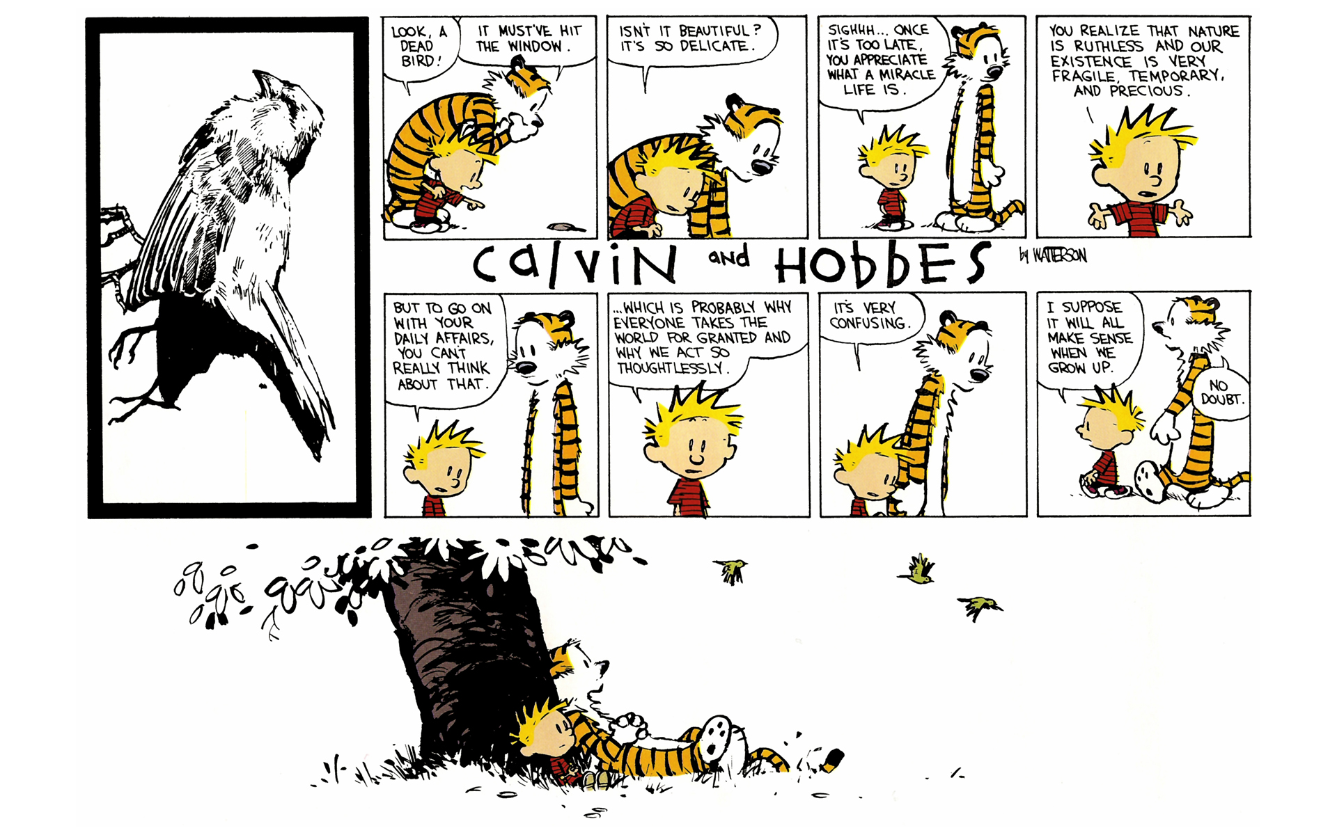 Read online Calvin and Hobbes comic -  Issue #10 - 14