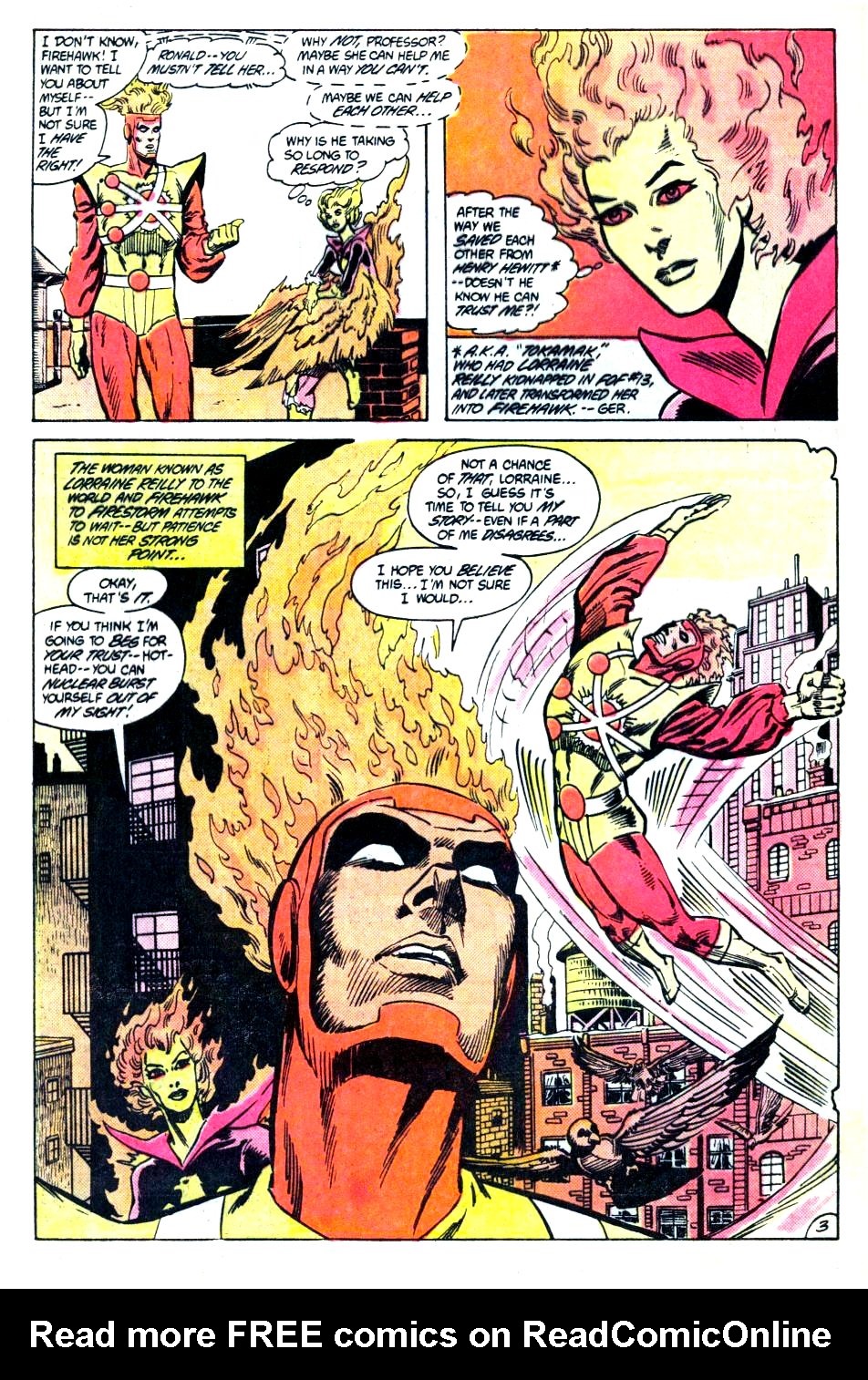The Fury of Firestorm Issue #22 #26 - English 4