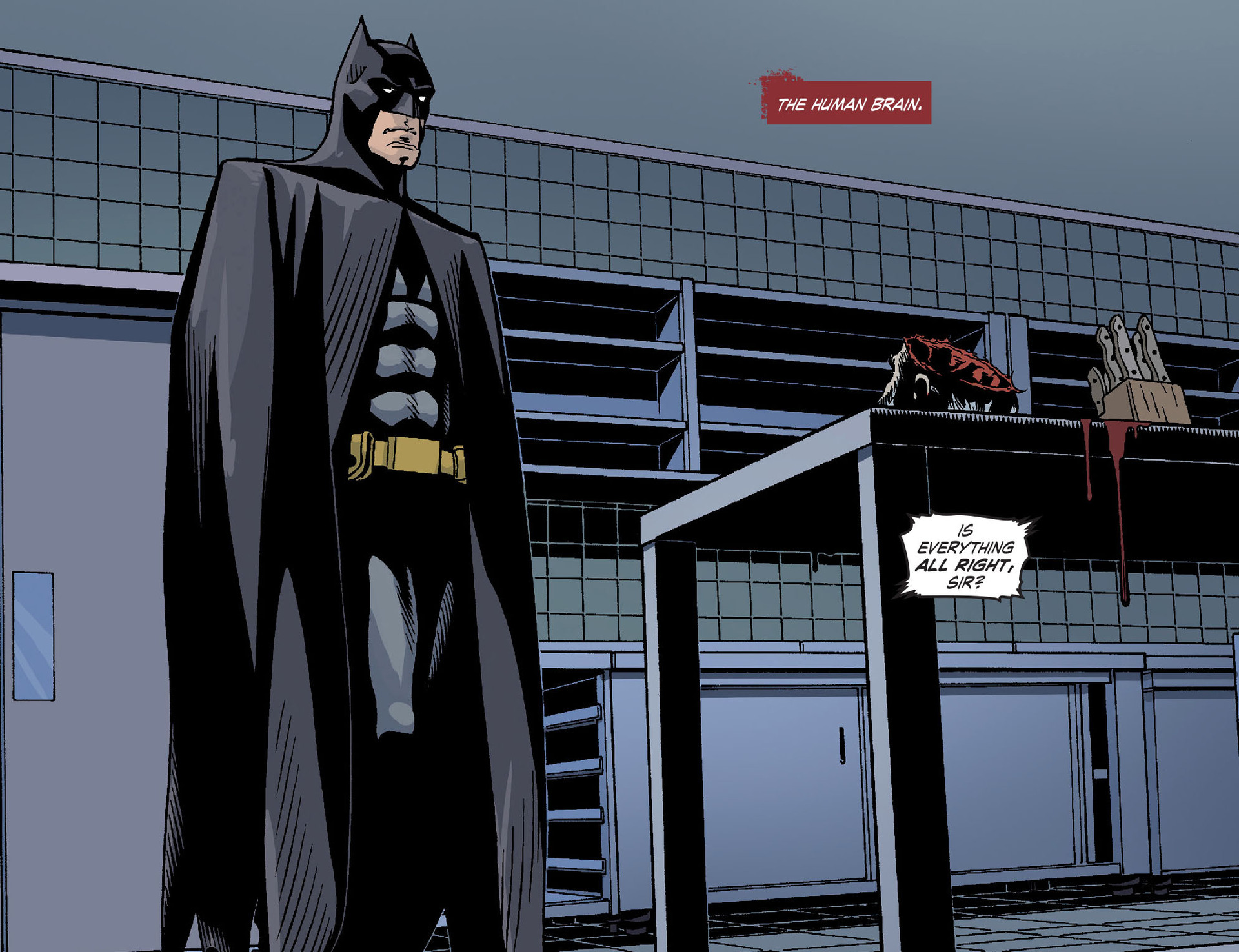 Read online Legends of the Dark Knight [I] comic -  Issue #27 - 9