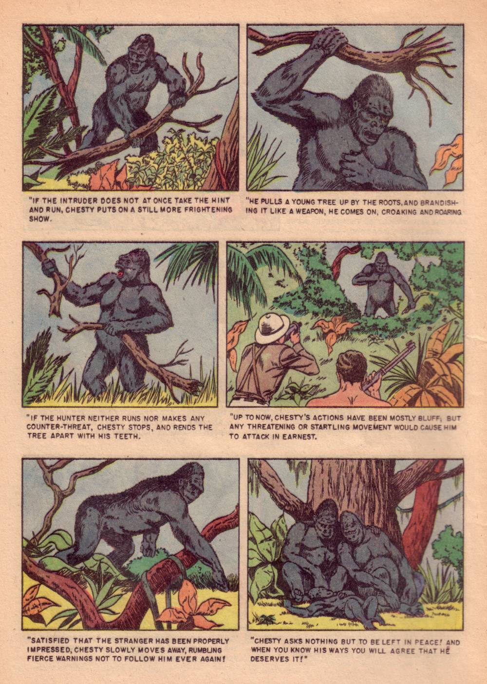 Read online Four Color Comics comic -  Issue #662 - 12