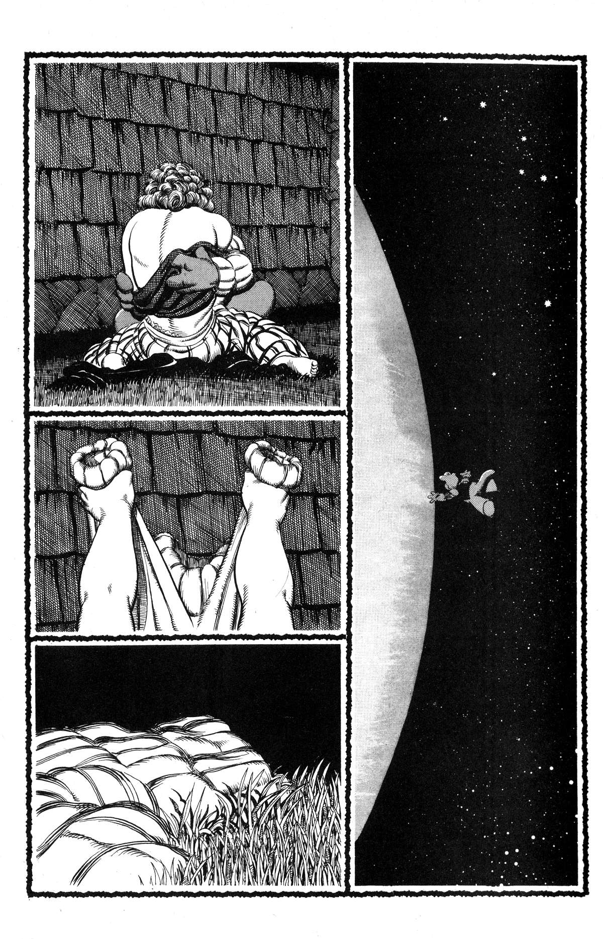 Read online Cerebus comic -  Issue #197 - 17