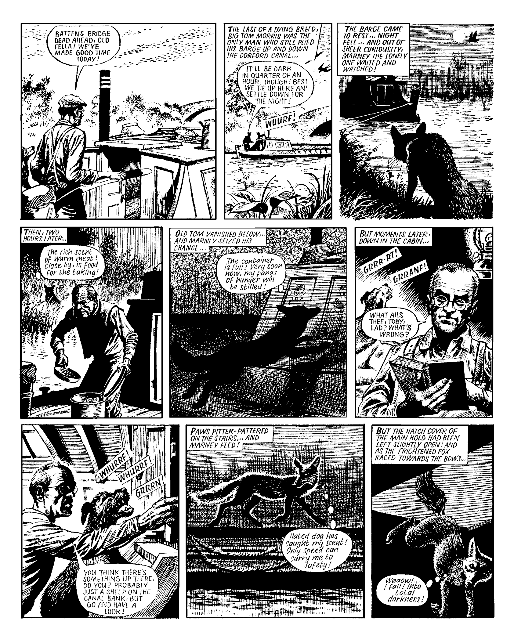 Read online Marney the Fox comic -  Issue # TPB (Part 2) - 25