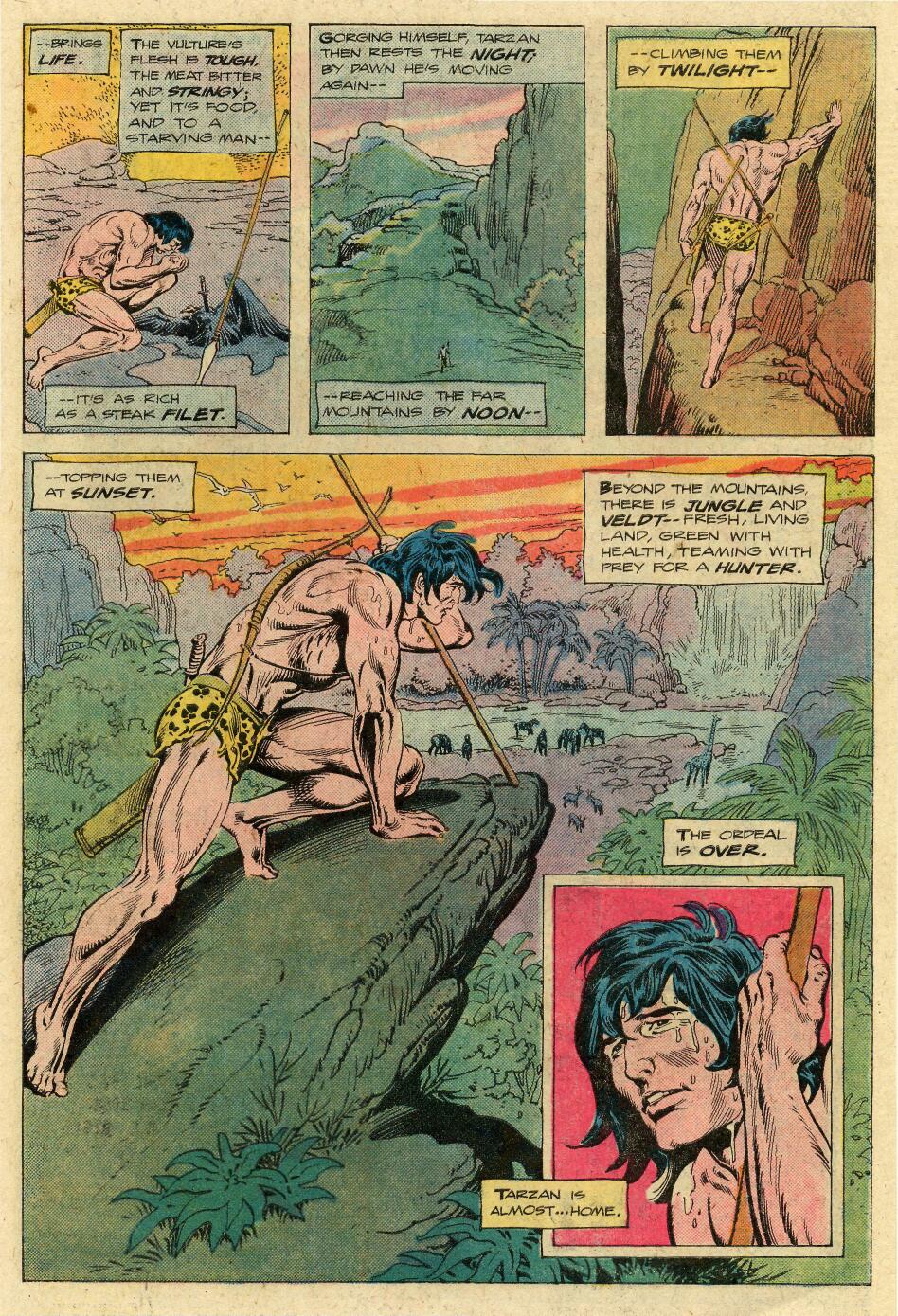 Read online Tarzan (1972) comic -  Issue #253 - 15