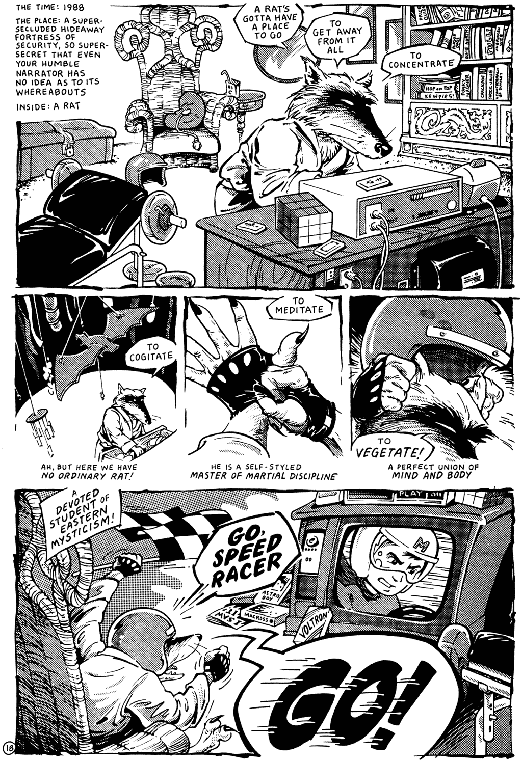 Teenage Mutant Ninja Turtles (1984) Issue #23 #23 - English 20