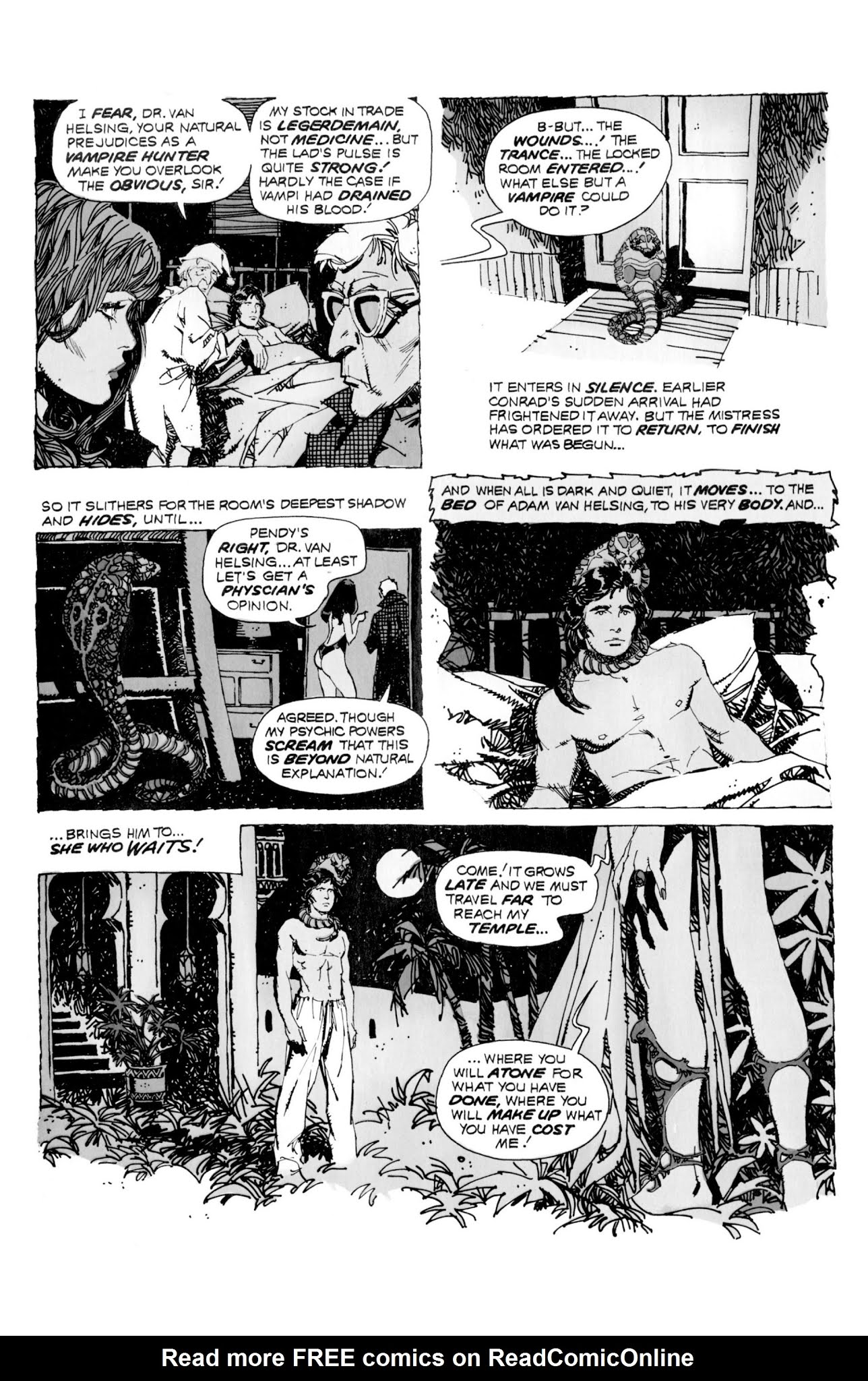 Read online Vampirella: The Essential Warren Years comic -  Issue # TPB (Part 5) - 42