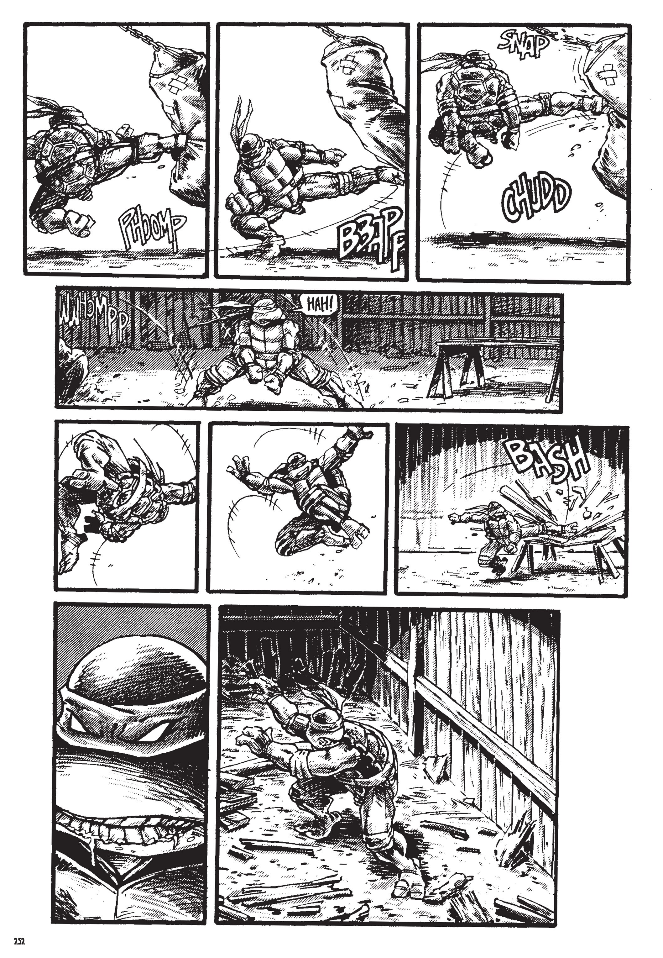 Read online Teenage Mutant Ninja Turtles: The Ultimate Collection comic -  Issue # TPB 2 (Part 3) - 51