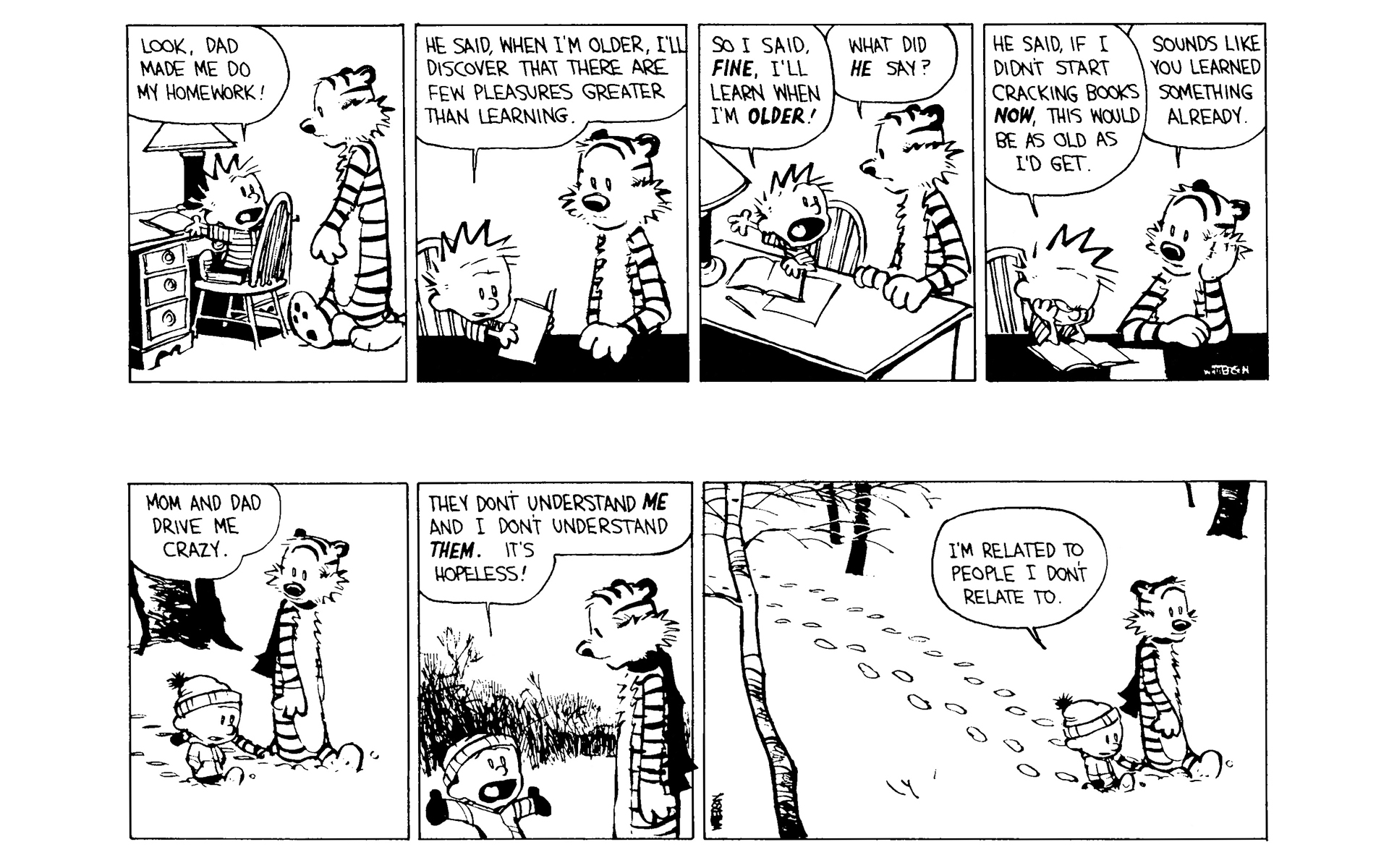 Read online Calvin and Hobbes comic -  Issue #8 - 22