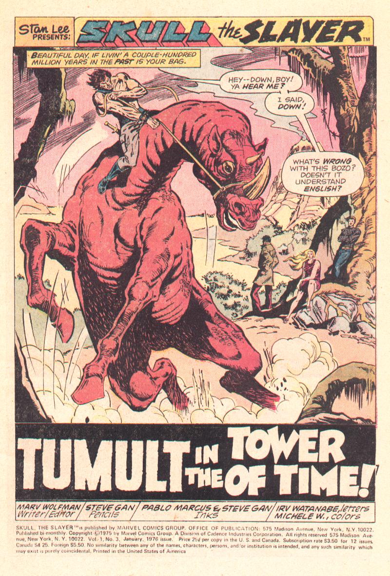 Read online Skull The Slayer comic -  Issue #3 - 2