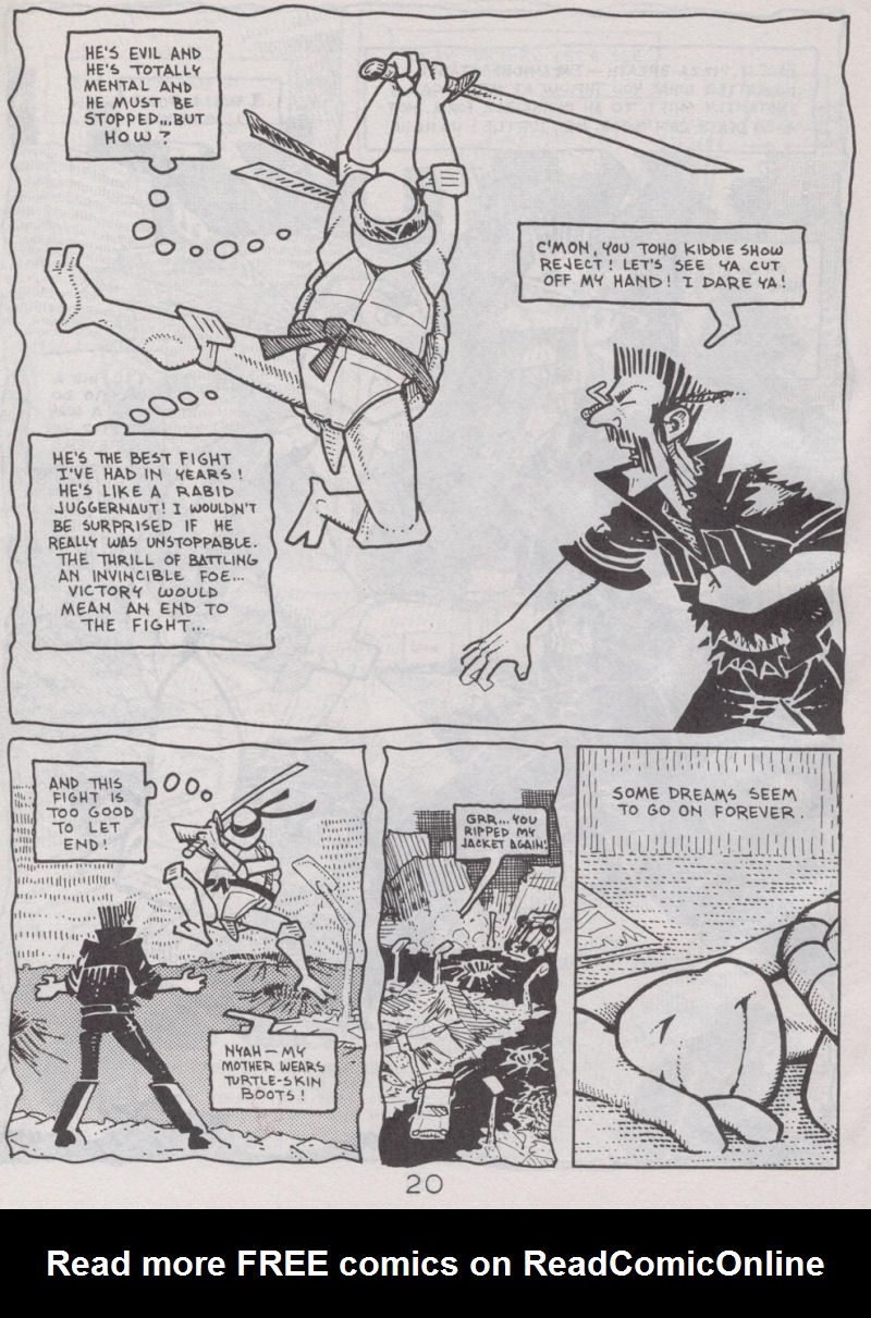 Teenage Mutant Ninja Turtles (1984) Issue #41 #41 - English 21