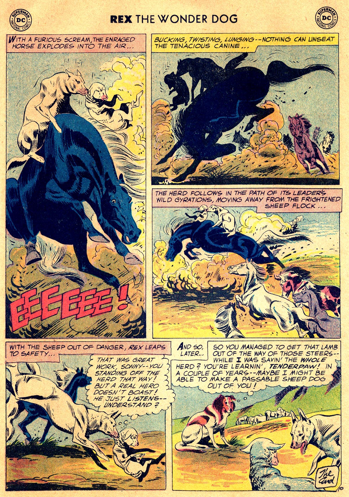 Read online The Adventures of Rex the Wonder Dog comic -  Issue #40 - 12