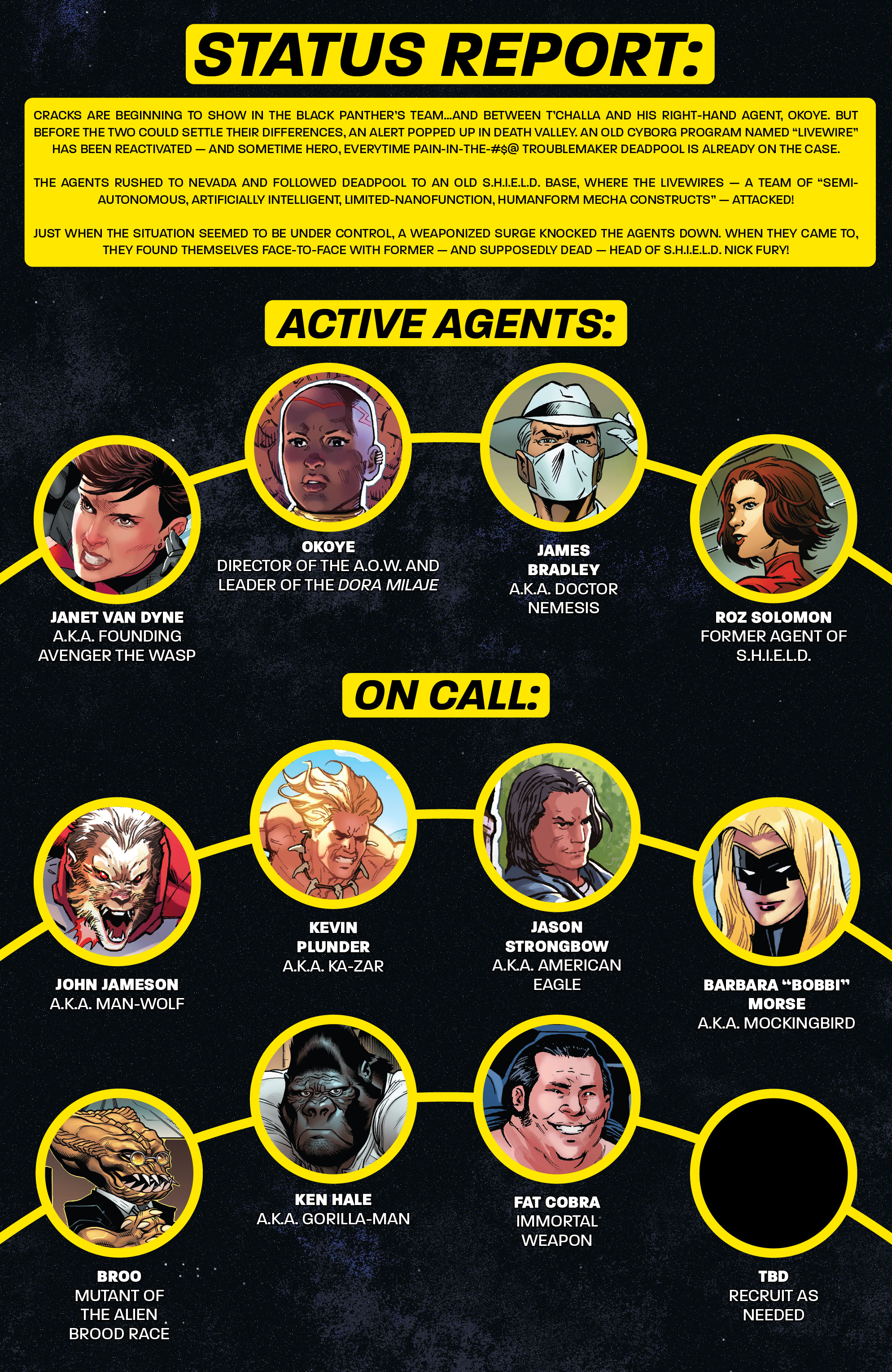 Read online Black Panther and the Agents of Wakanda comic -  Issue #6 - 3
