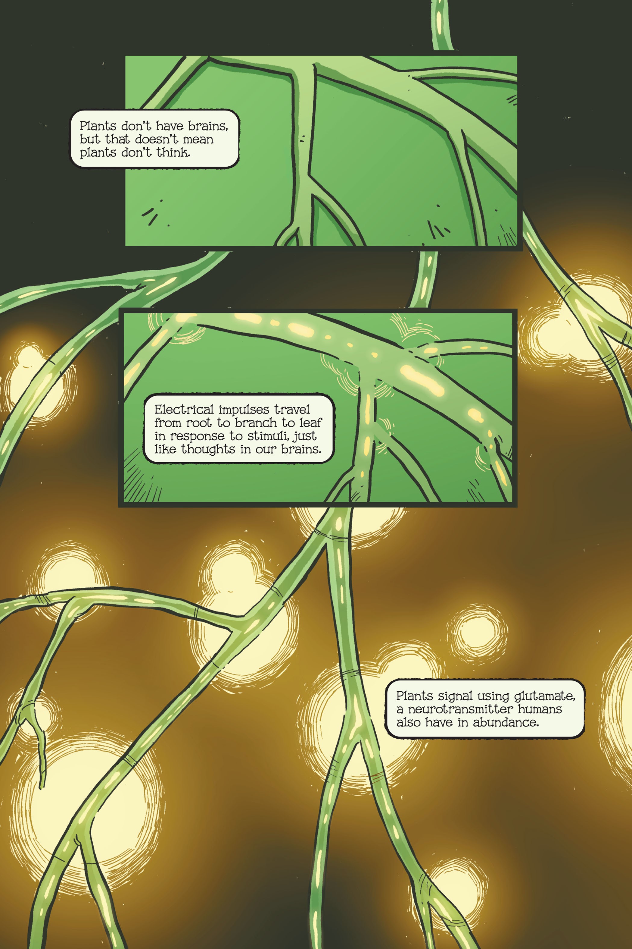 Read online Swamp Thing: Twin Branches comic -  Issue # TPB (Part 2) - 1