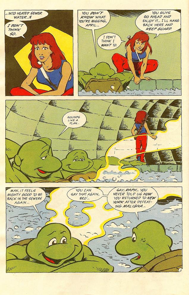 Teenage Mutant Ninja Turtles Adventures (1989) issue 23 - Page 3