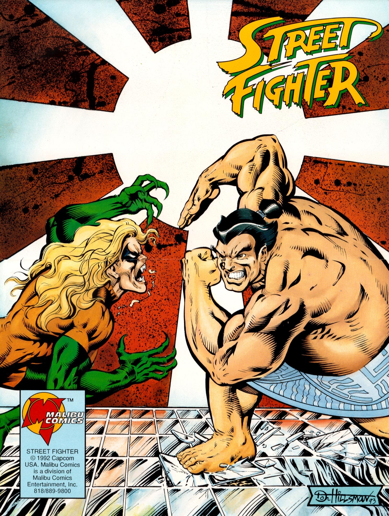 Read online Street Fighter (1994) comic -  Issue #3 - 28