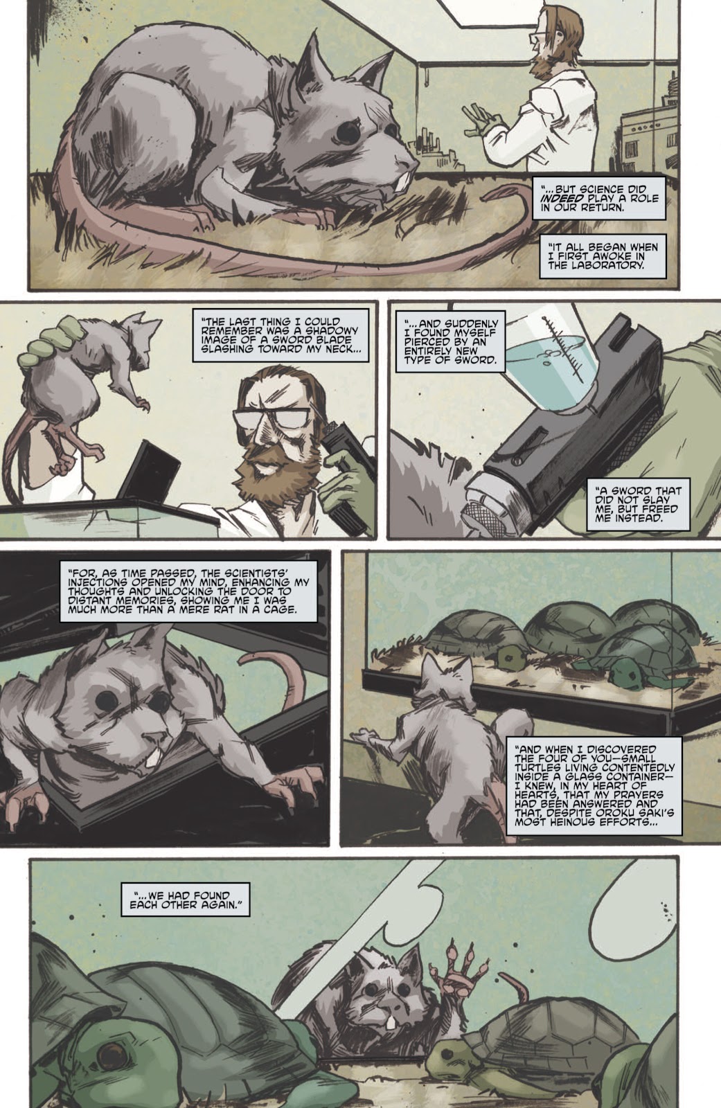 Teenage Mutant Ninja Turtles (2011) issue 6 - Page 18