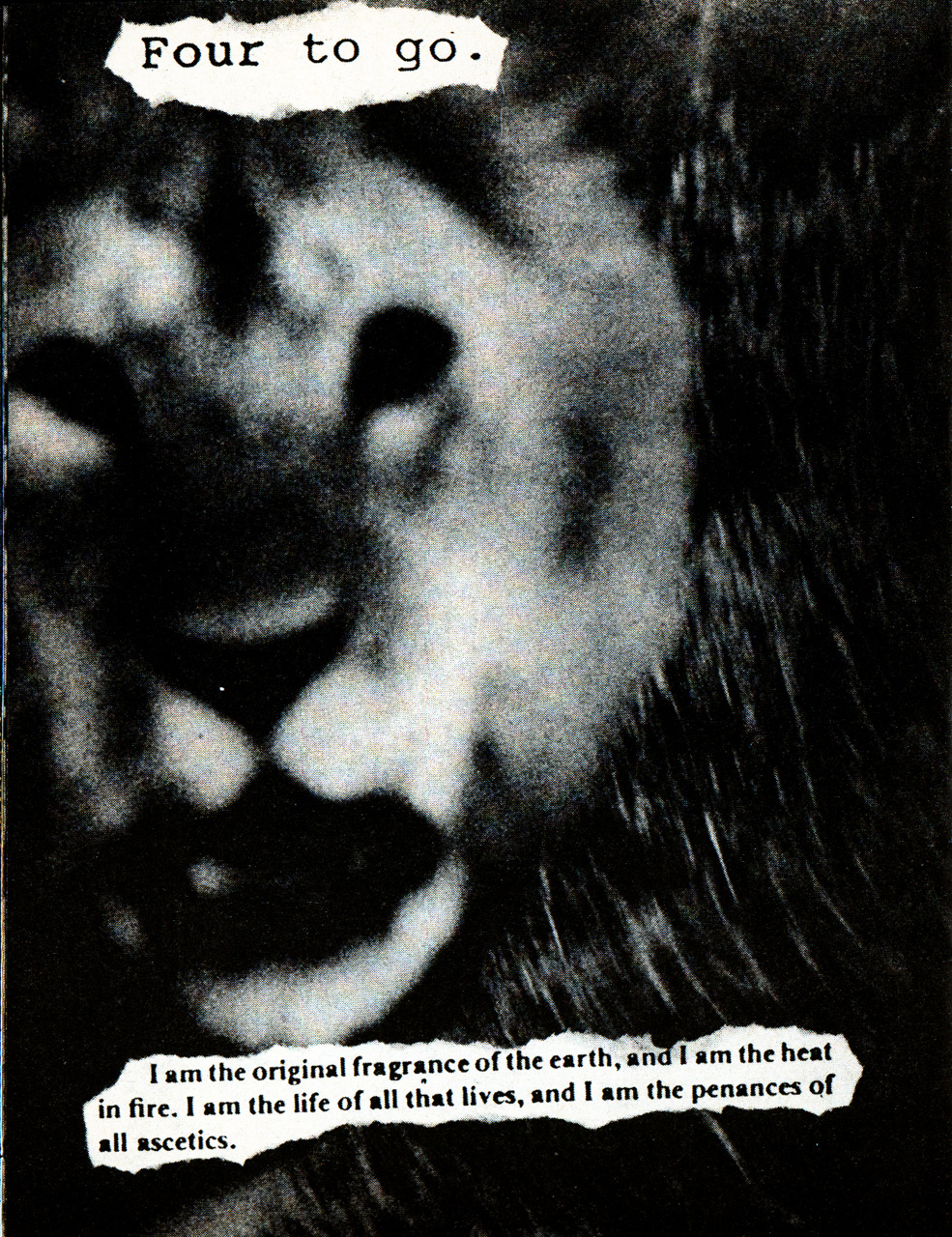 Read online Mirage Mini Comics comic -  Issue # TPB - 47