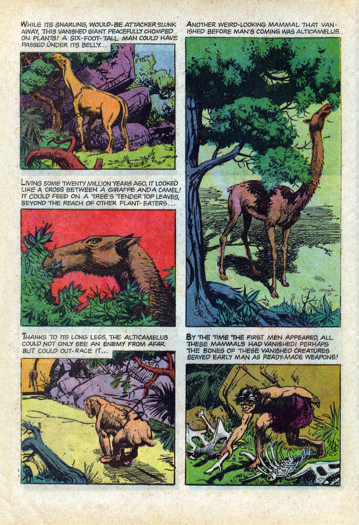 Read online Turok, Son of Stone comic -  Issue #66 - 16