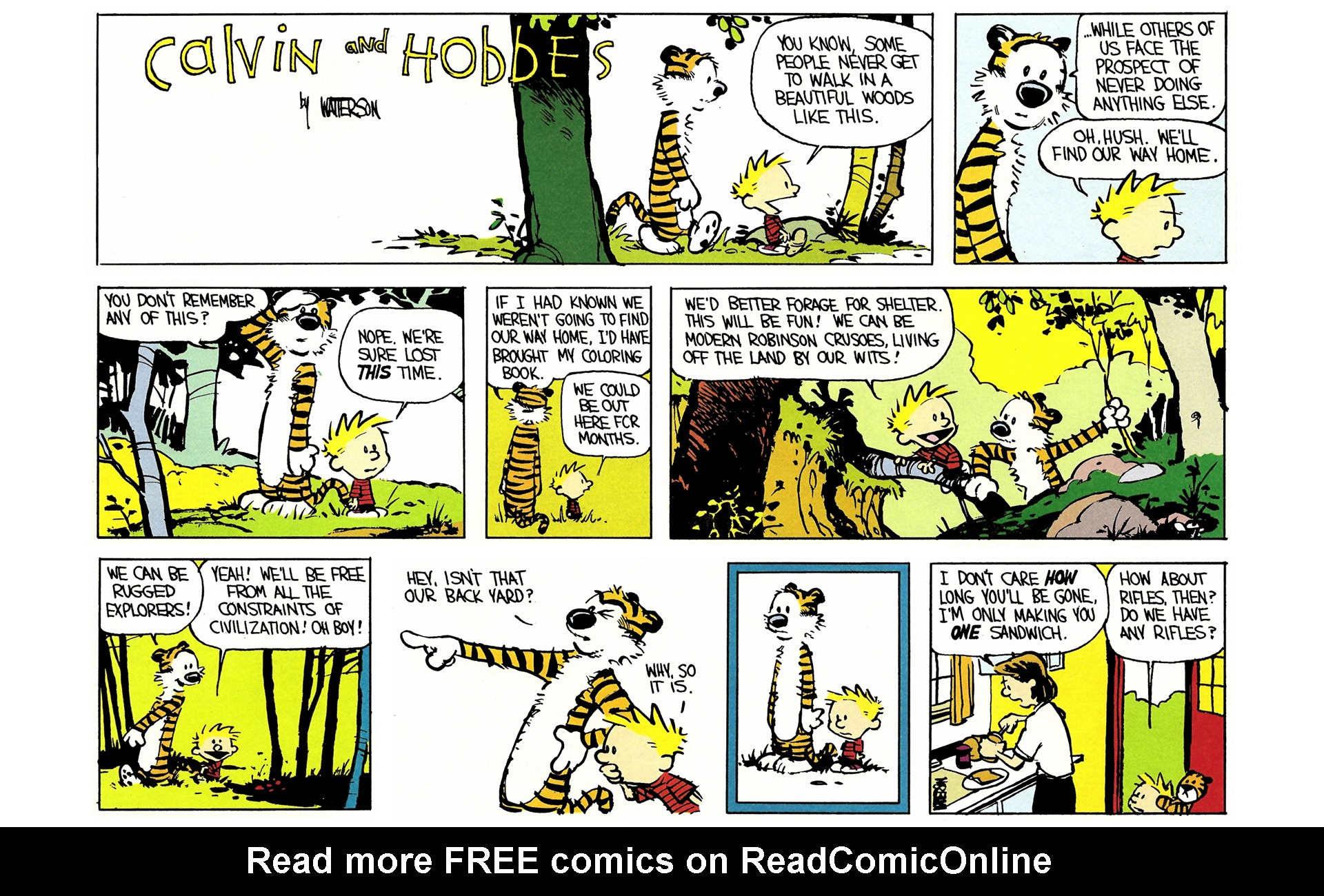 Read online Calvin and Hobbes comic - Issue #3.